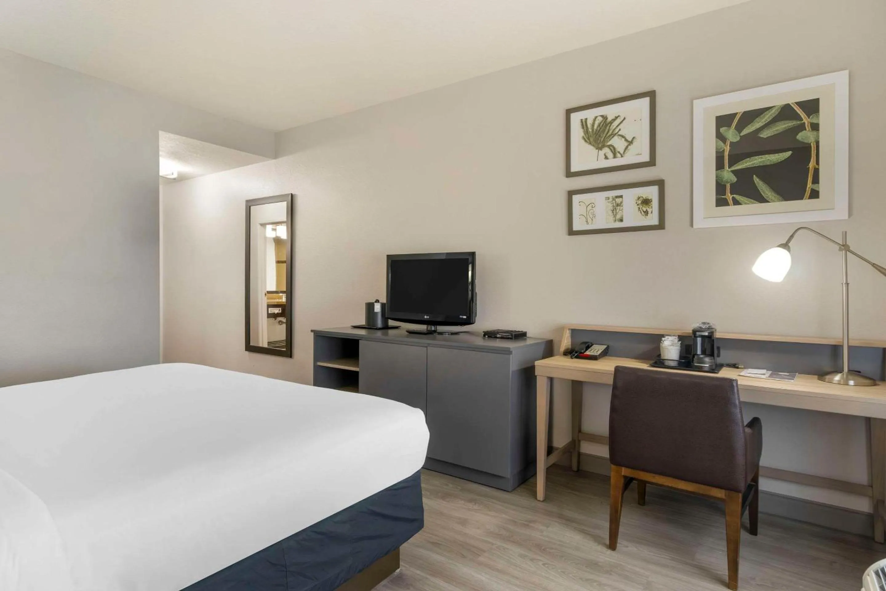 Bedroom, Bed in Country Inn & Suites by Radisson, Tampa Airport North, FL