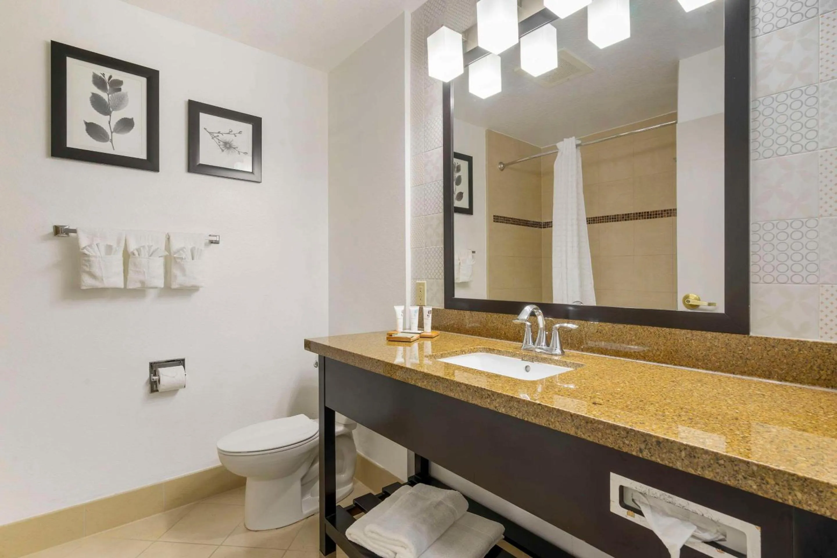 Bedroom in Country Inn & Suites by Radisson, Tampa Airport North, FL