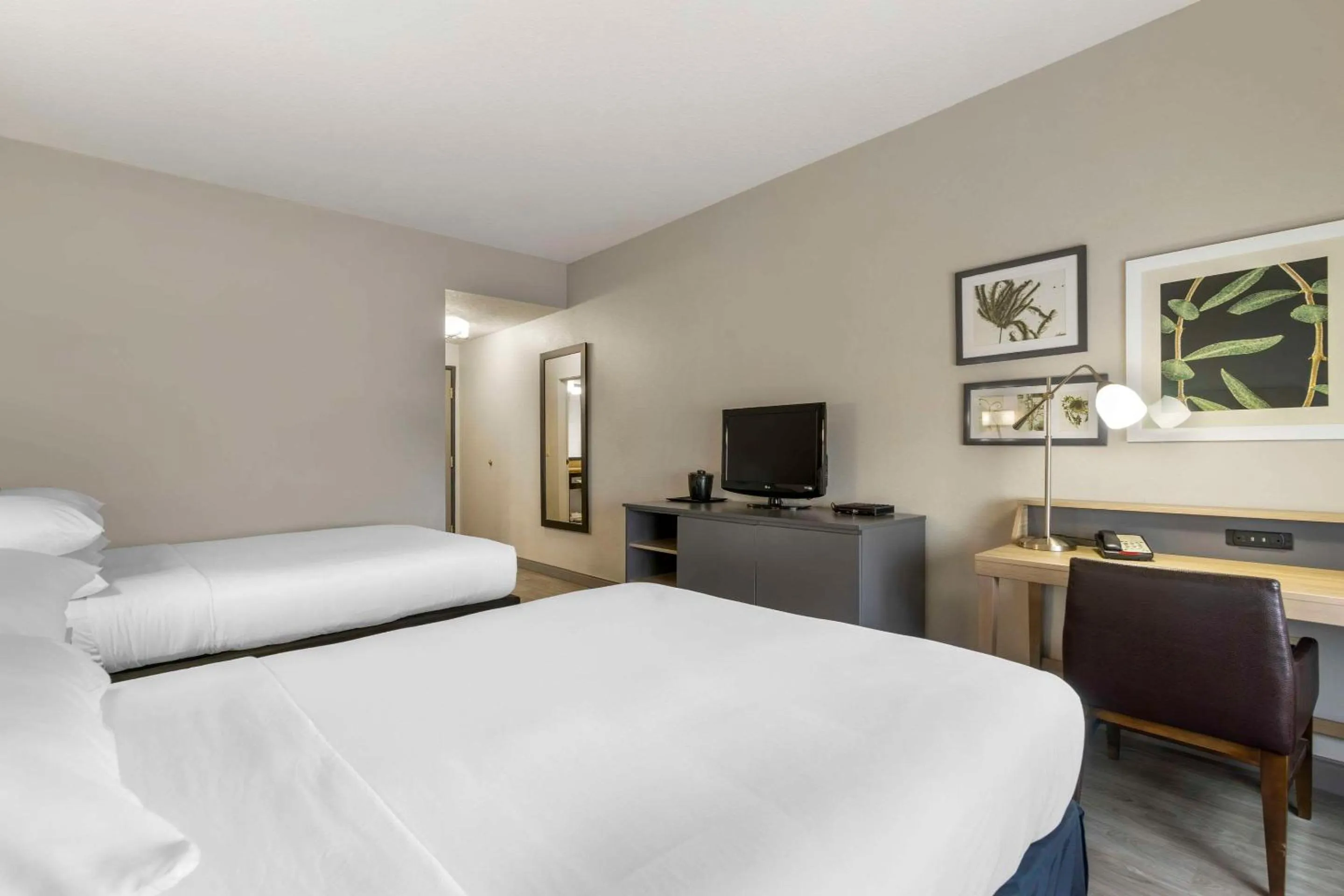 Bedroom, Bed in Country Inn & Suites by Radisson, Tampa Airport North, FL