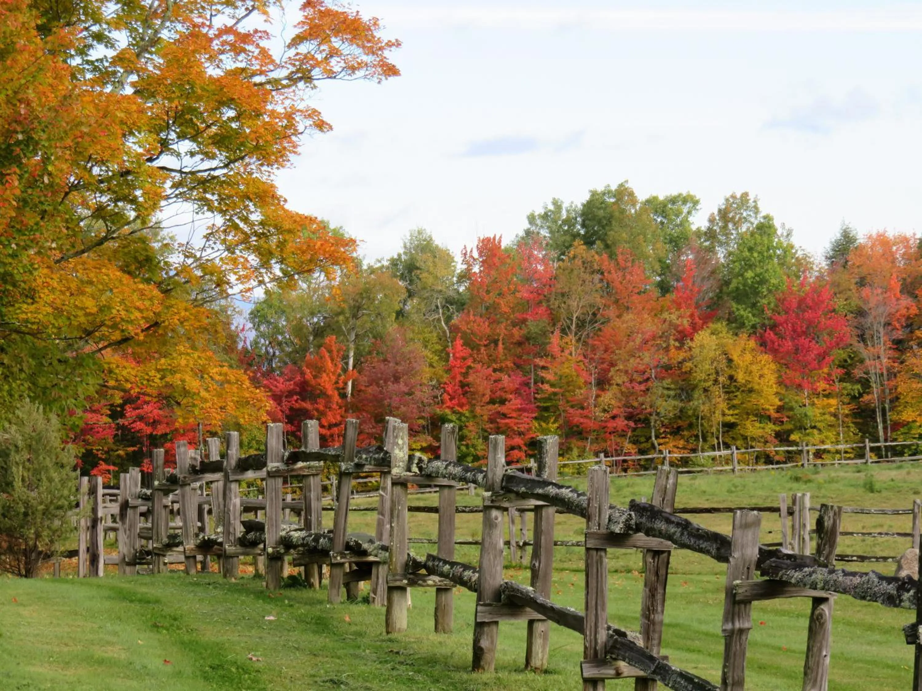 Natural landscape in Commodores Inn