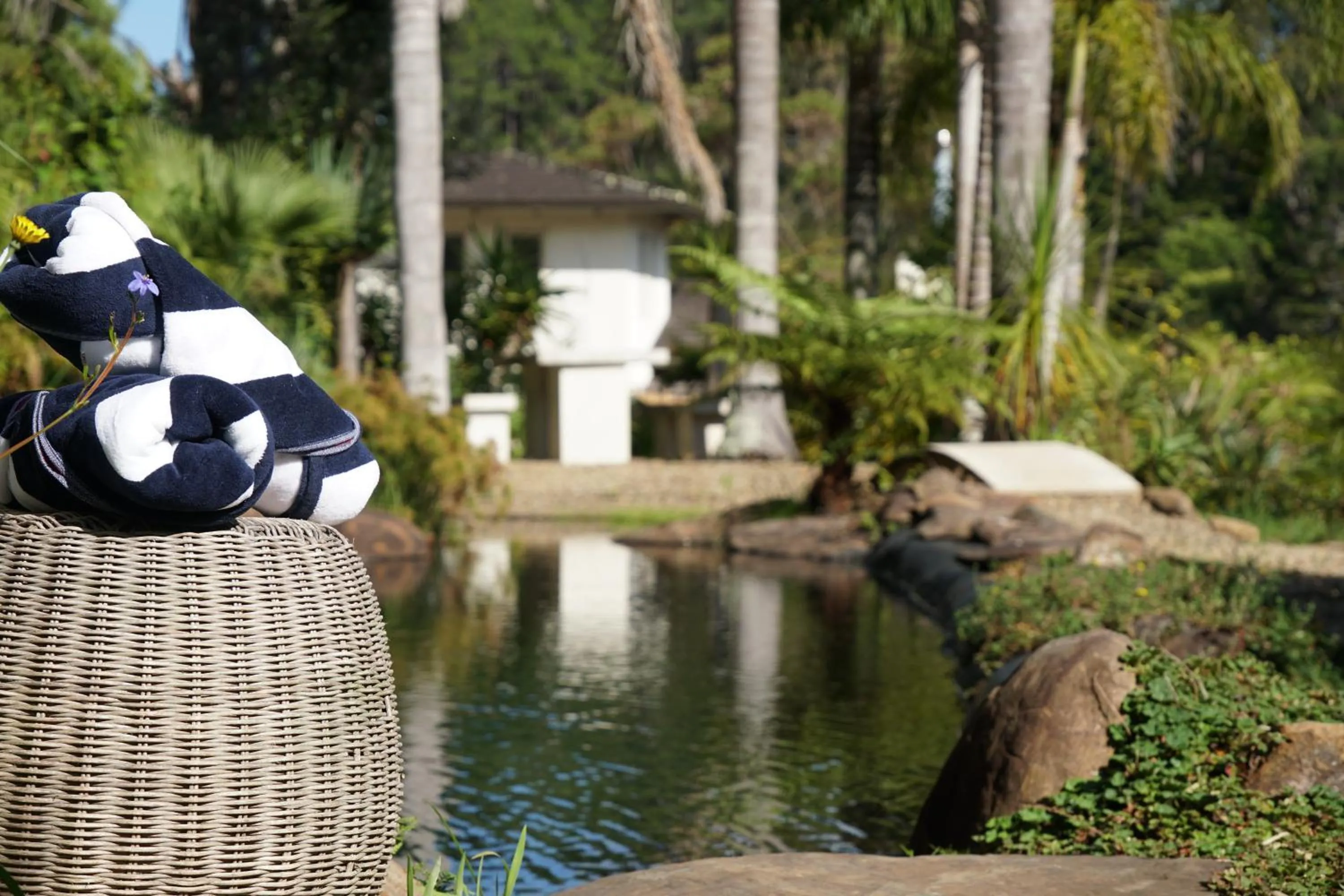 Spa and wellness centre/facilities in Avalon Resort