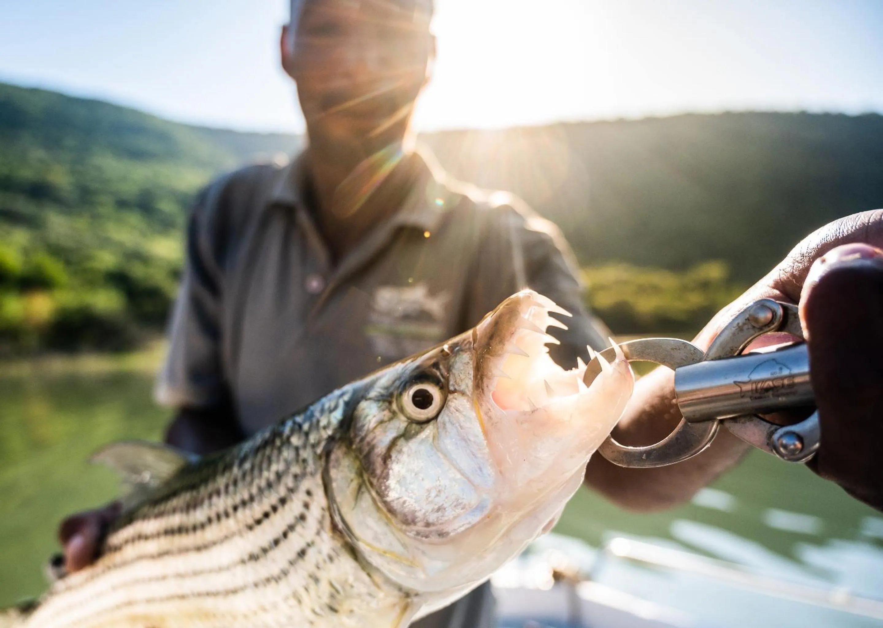 Activities in Jozini Tiger Lodge & Spa by Dream Resorts