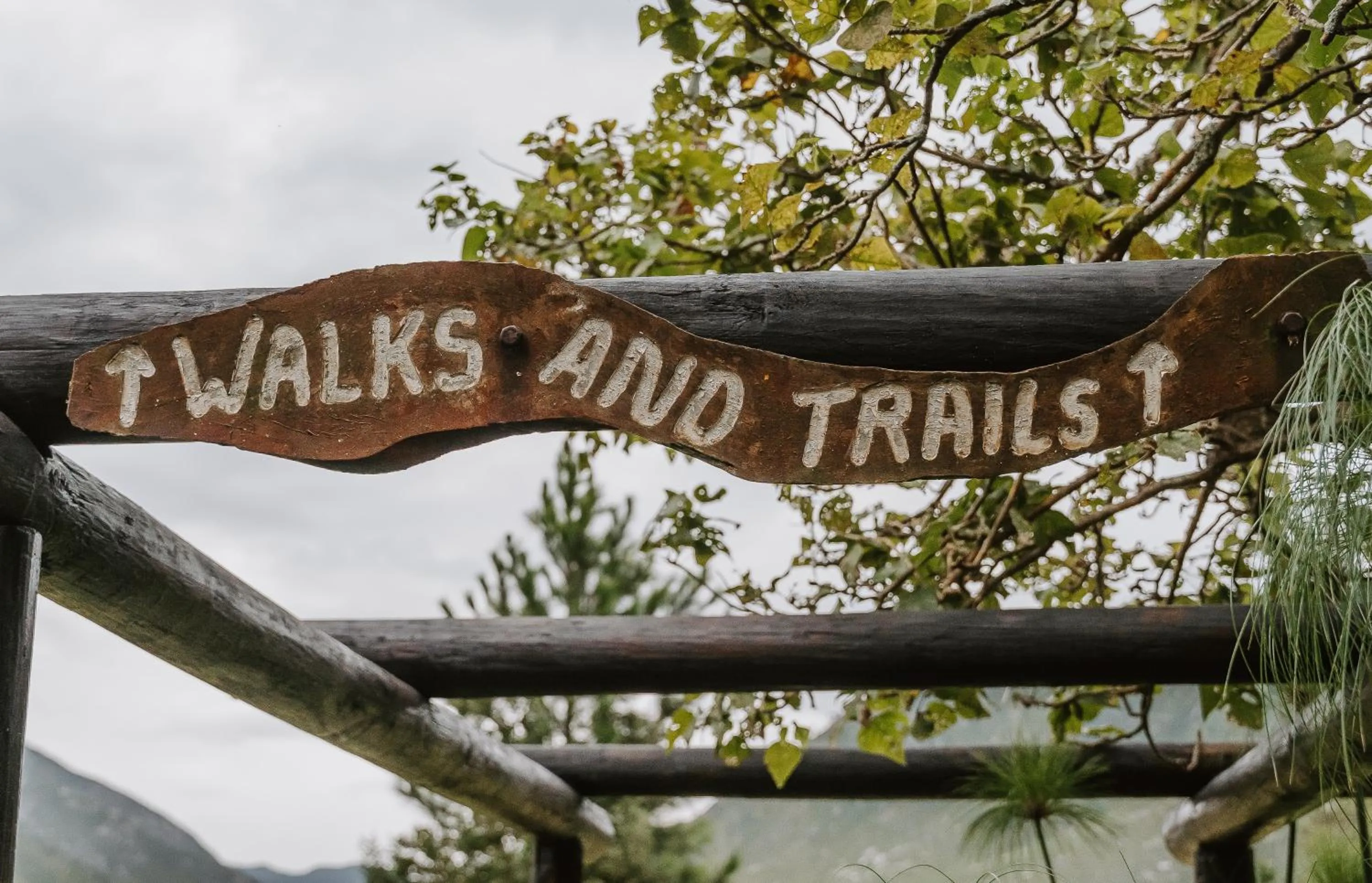 Hiking in Tsitsikamma Lodge & Spa