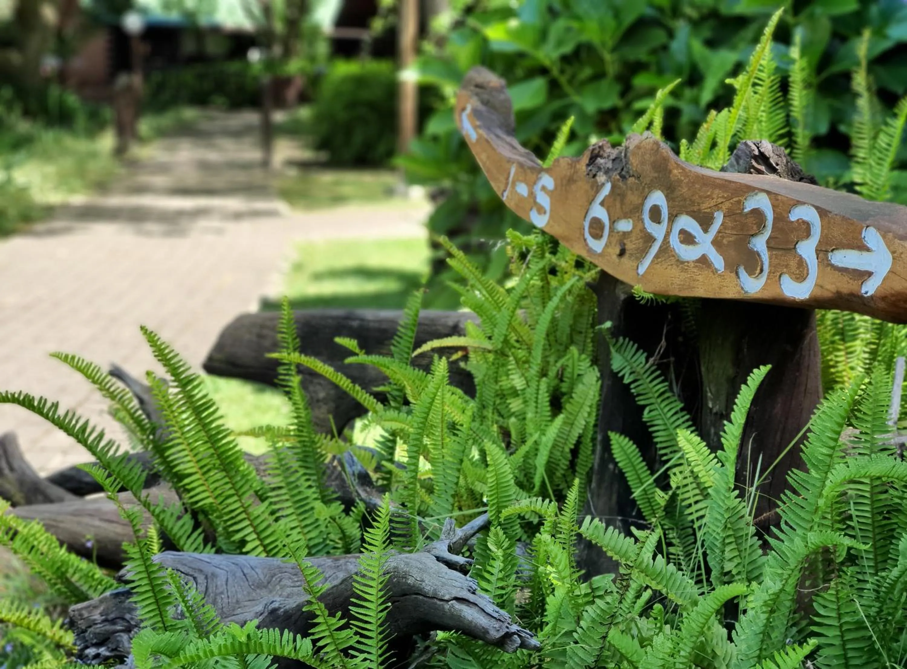 Property building in Tsitsikamma Lodge & Spa