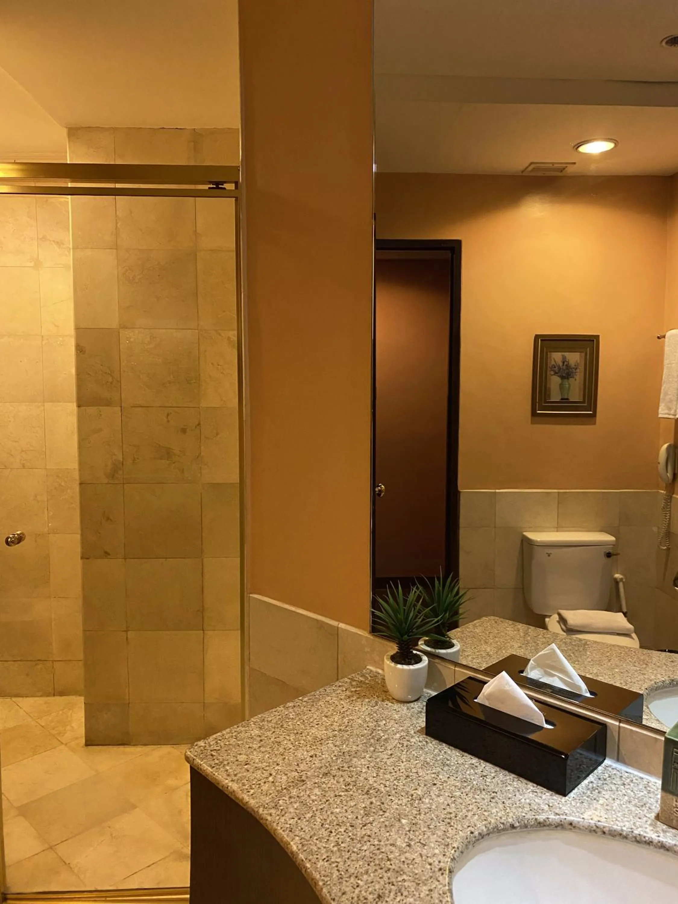 Shower in Makati Palace Hotel