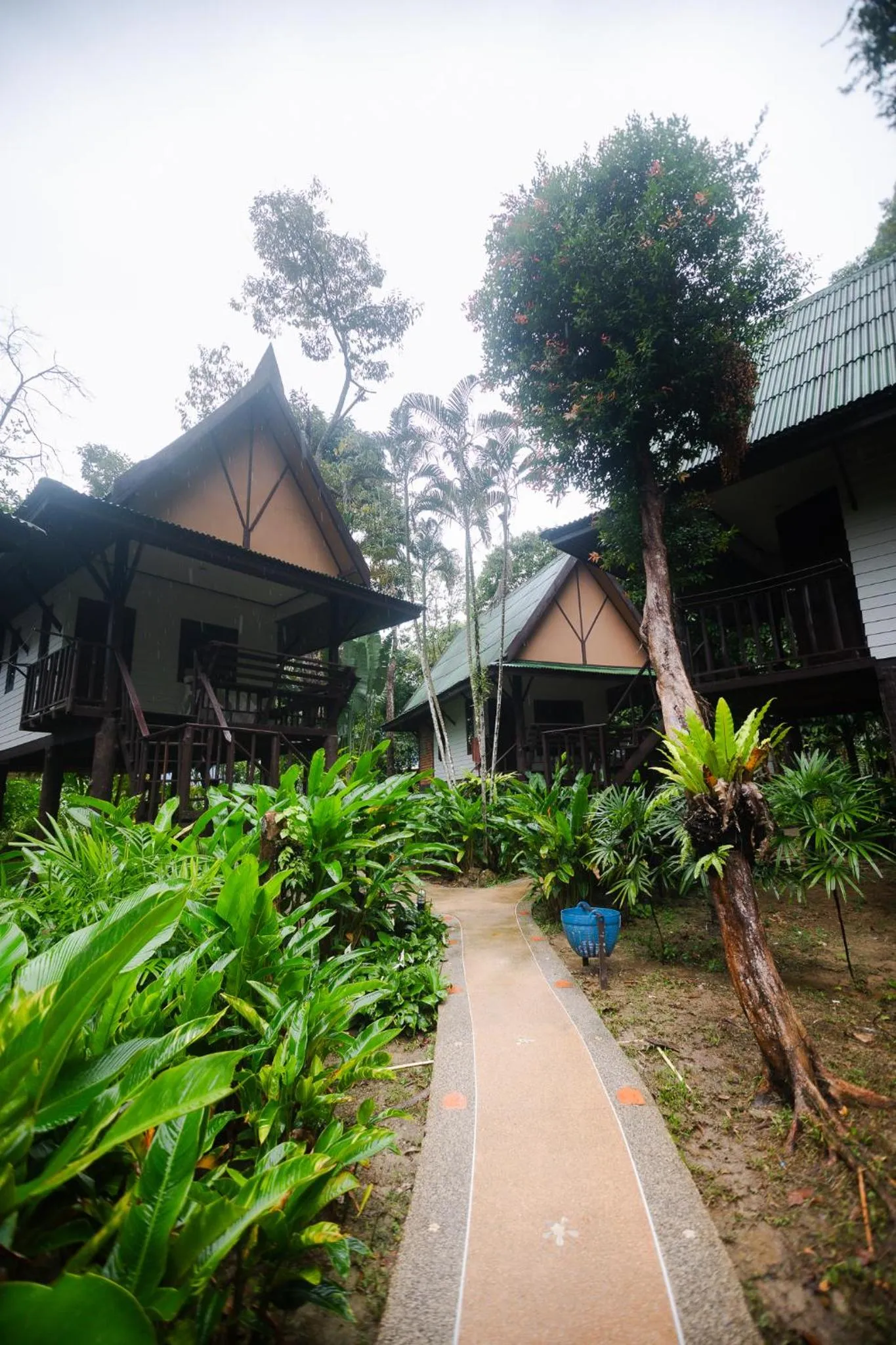 The Vatika Resort and Spa