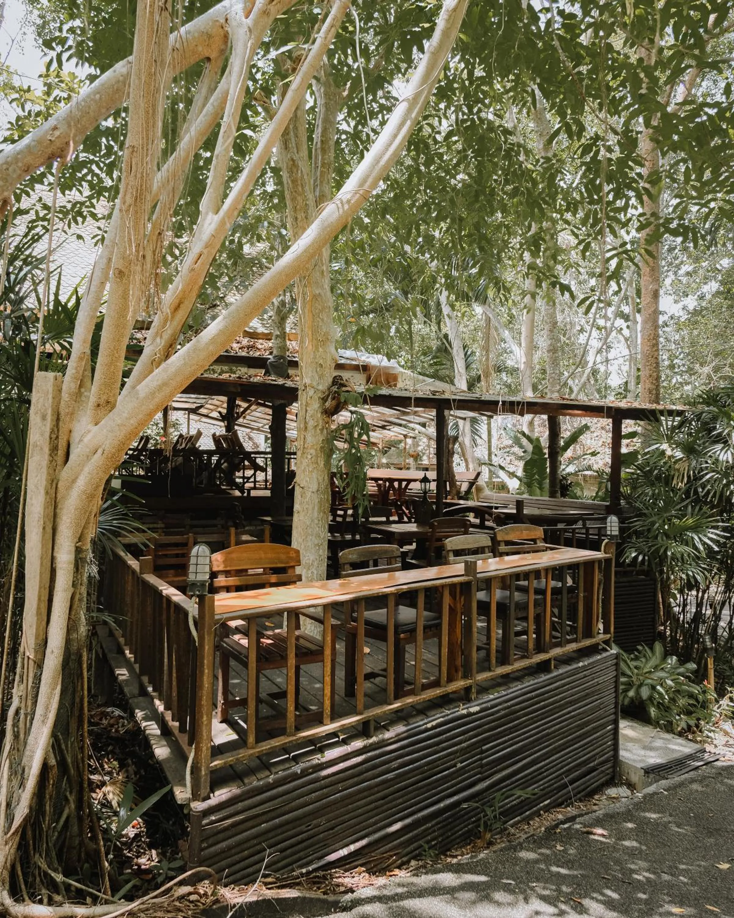 Restaurant/places to eat in The Vatika Resort and Spa