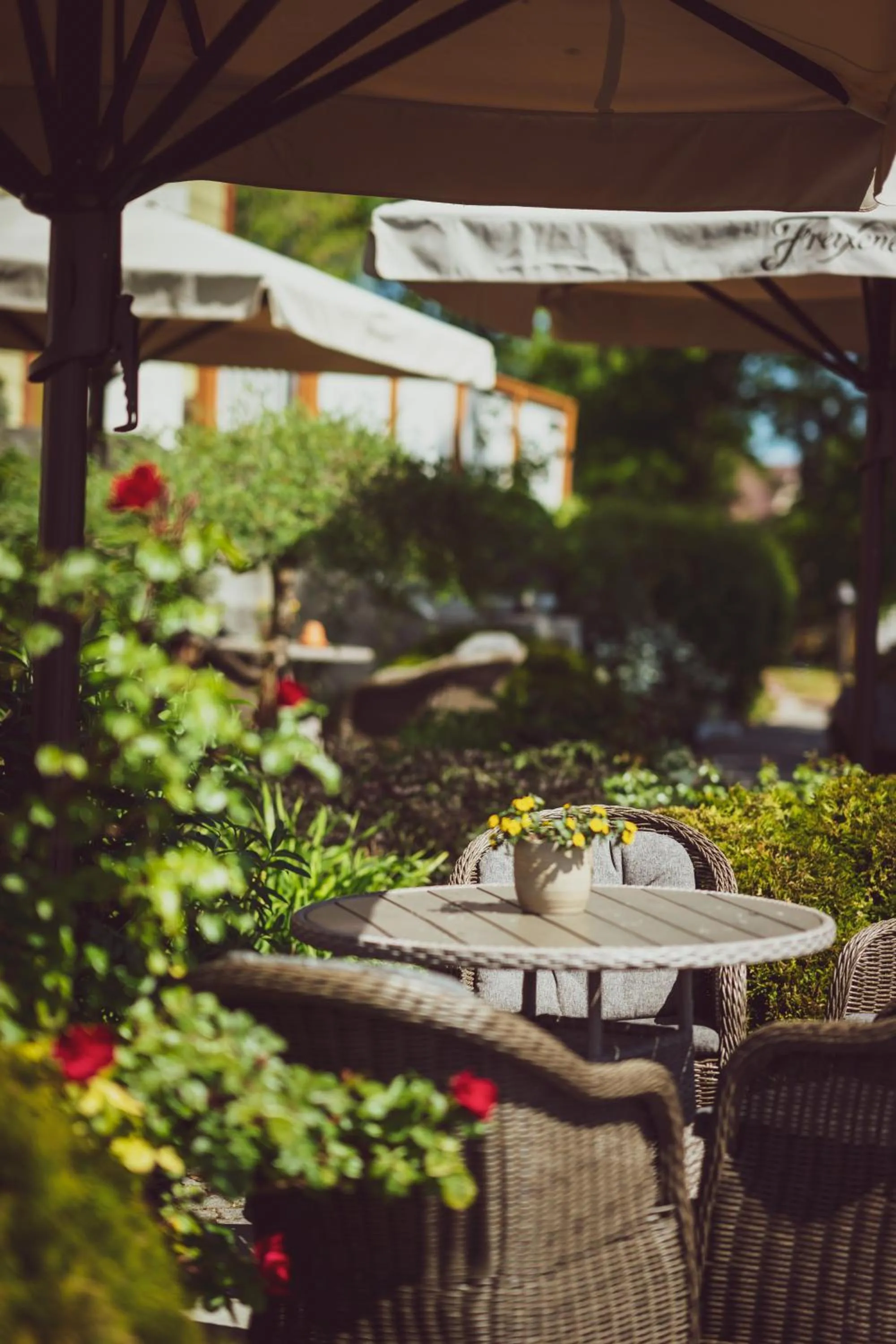 Garden in Ekesparre Boutique Hotel