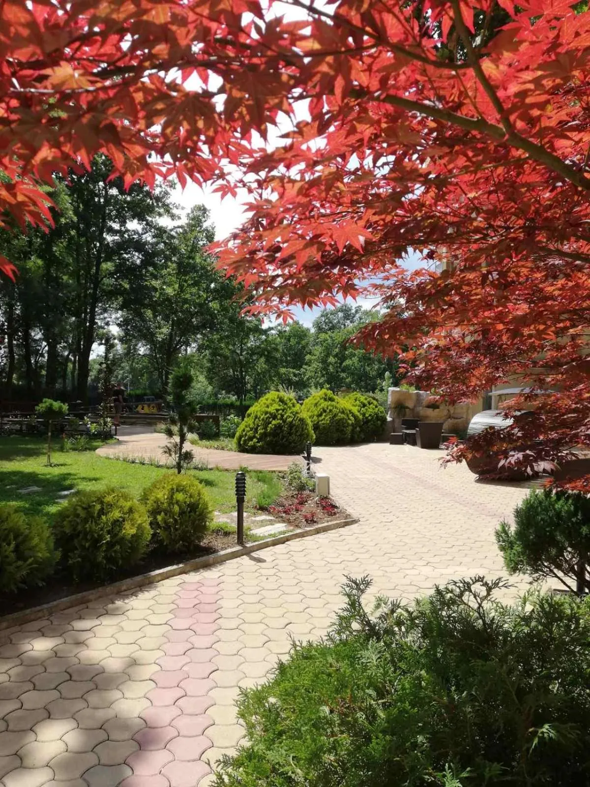 Garden in Sunrise Hotel