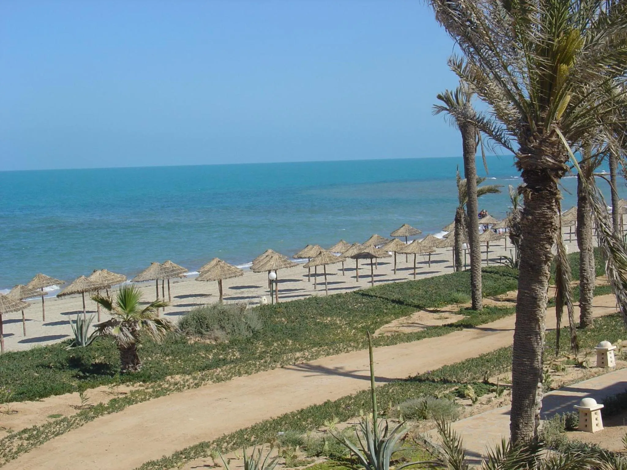 Natural landscape in Zita Beach Resort