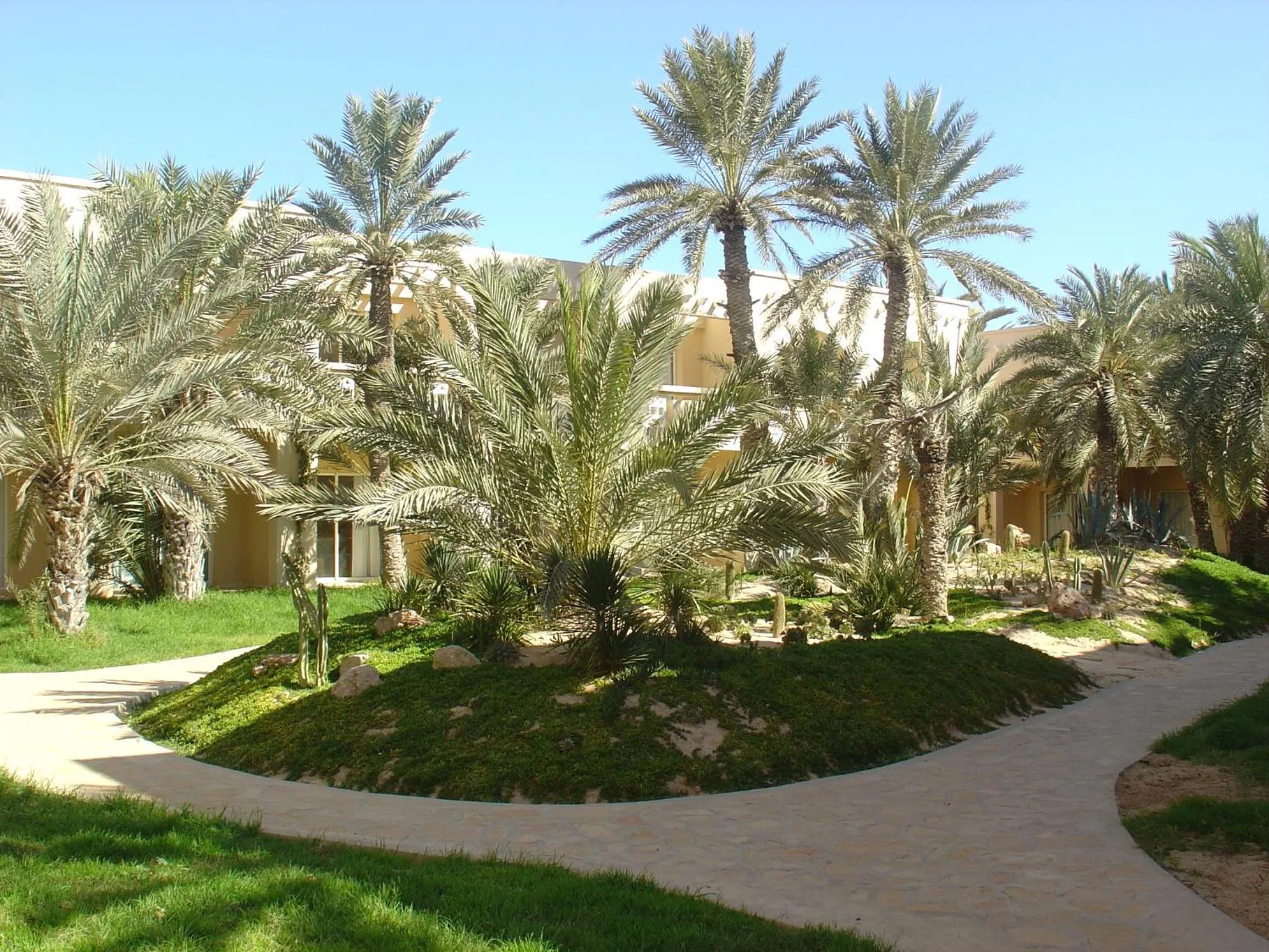 Garden in Zita Beach Resort