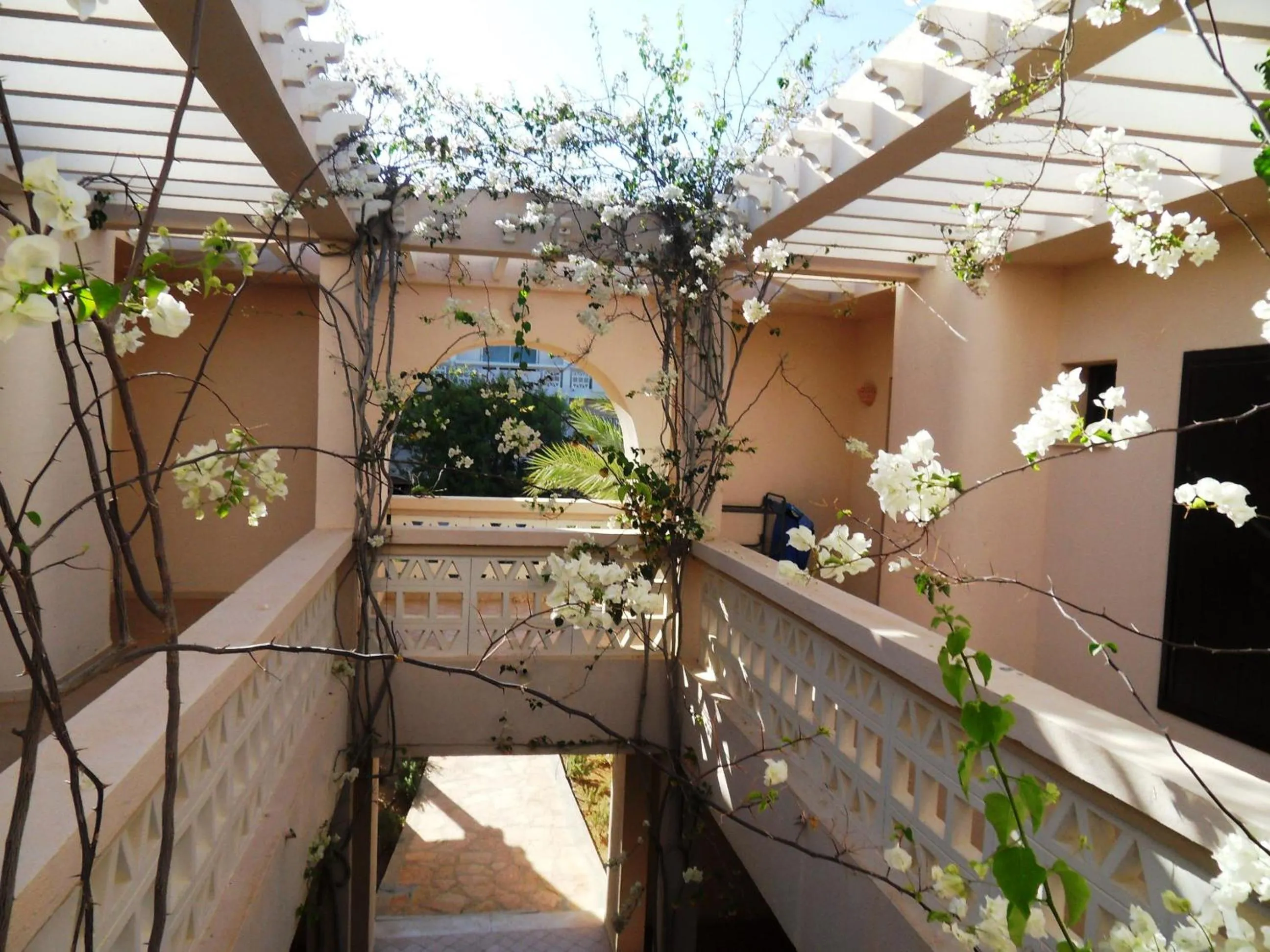 Balcony/Terrace in Zita Beach Resort