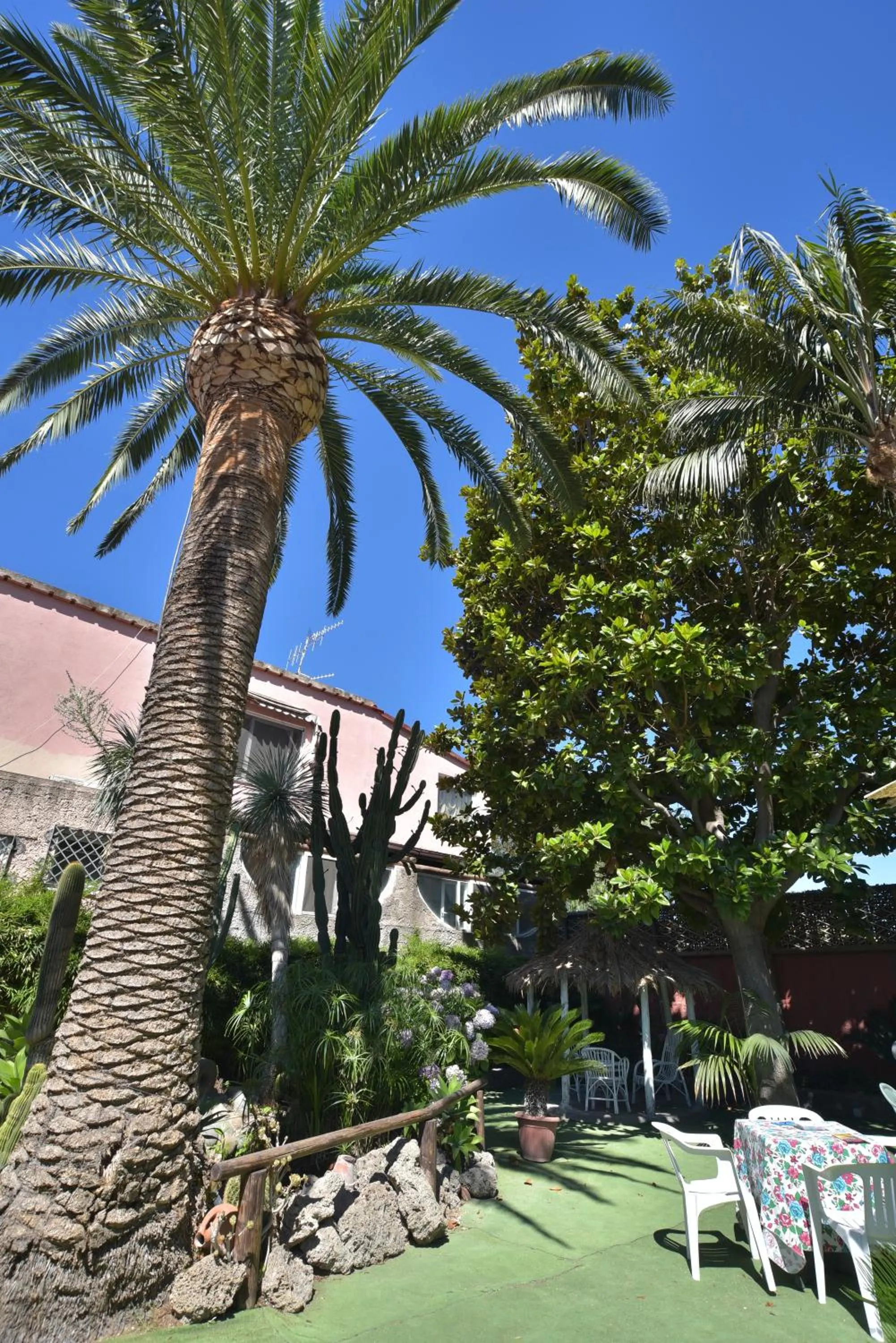 Garden in Hotel Villa Franca