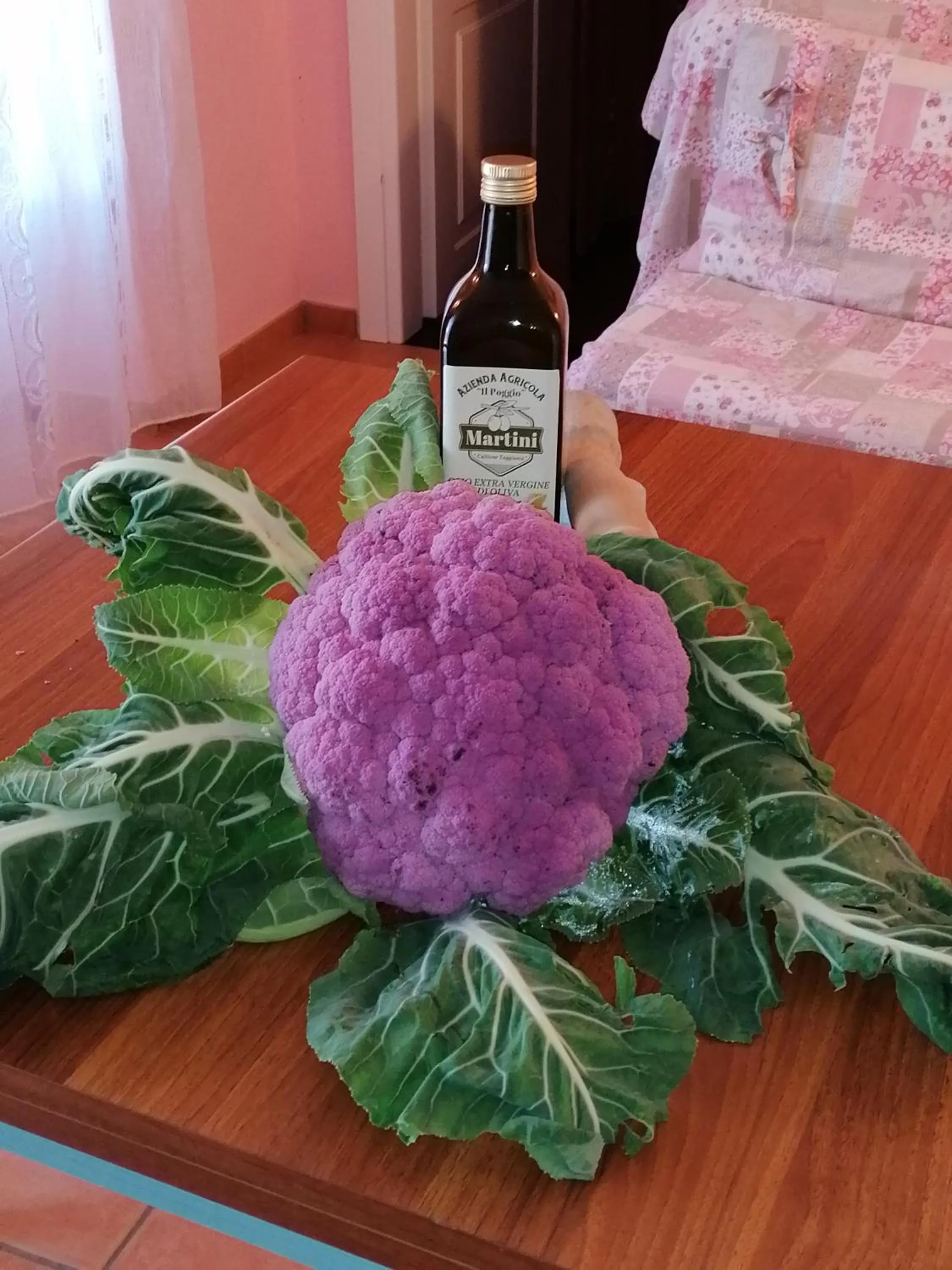 Agriturismo IL POGGIO DI VASIA CITR00864-AGR-0001