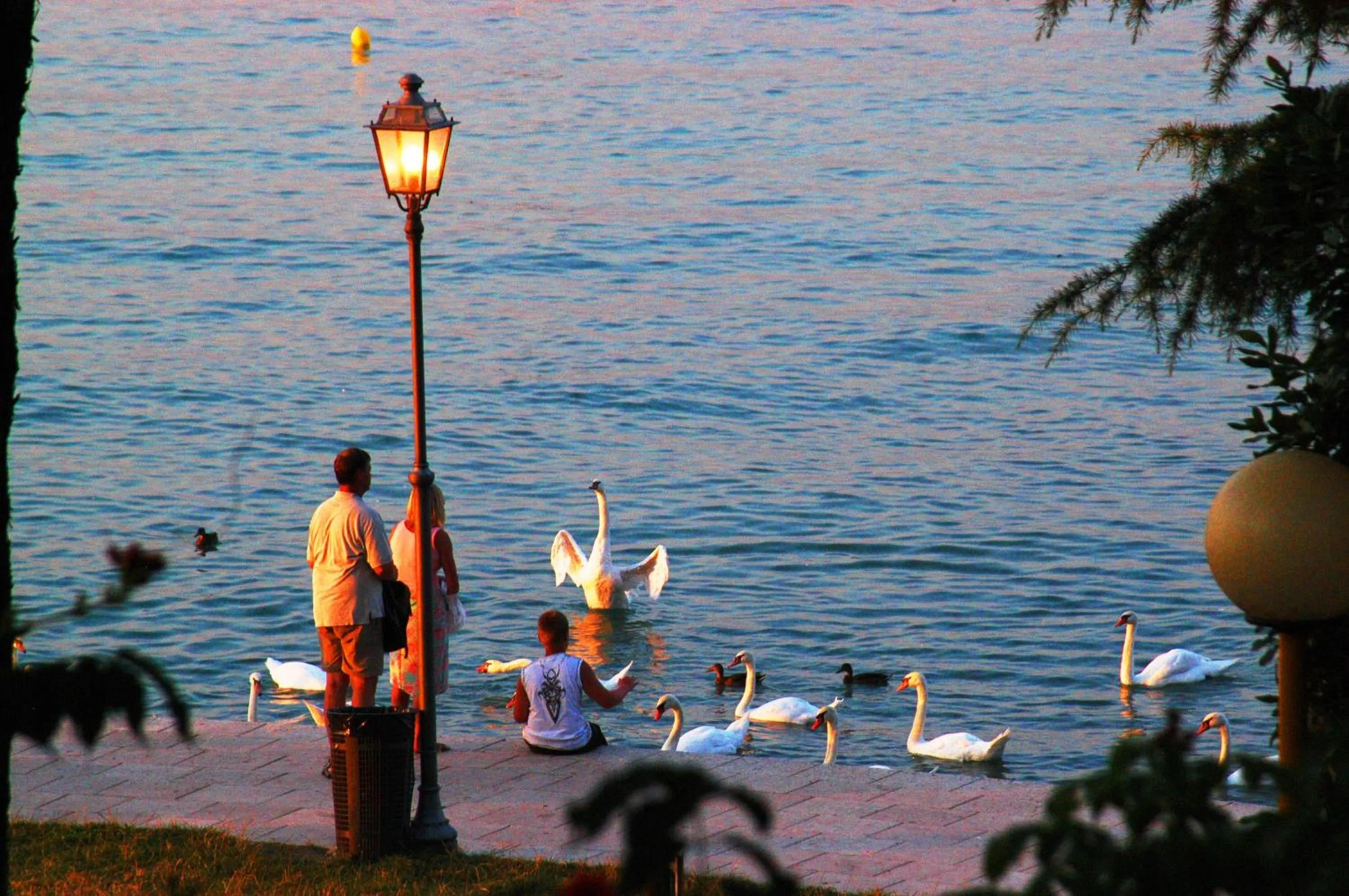Lake view in Camping Bella Italia