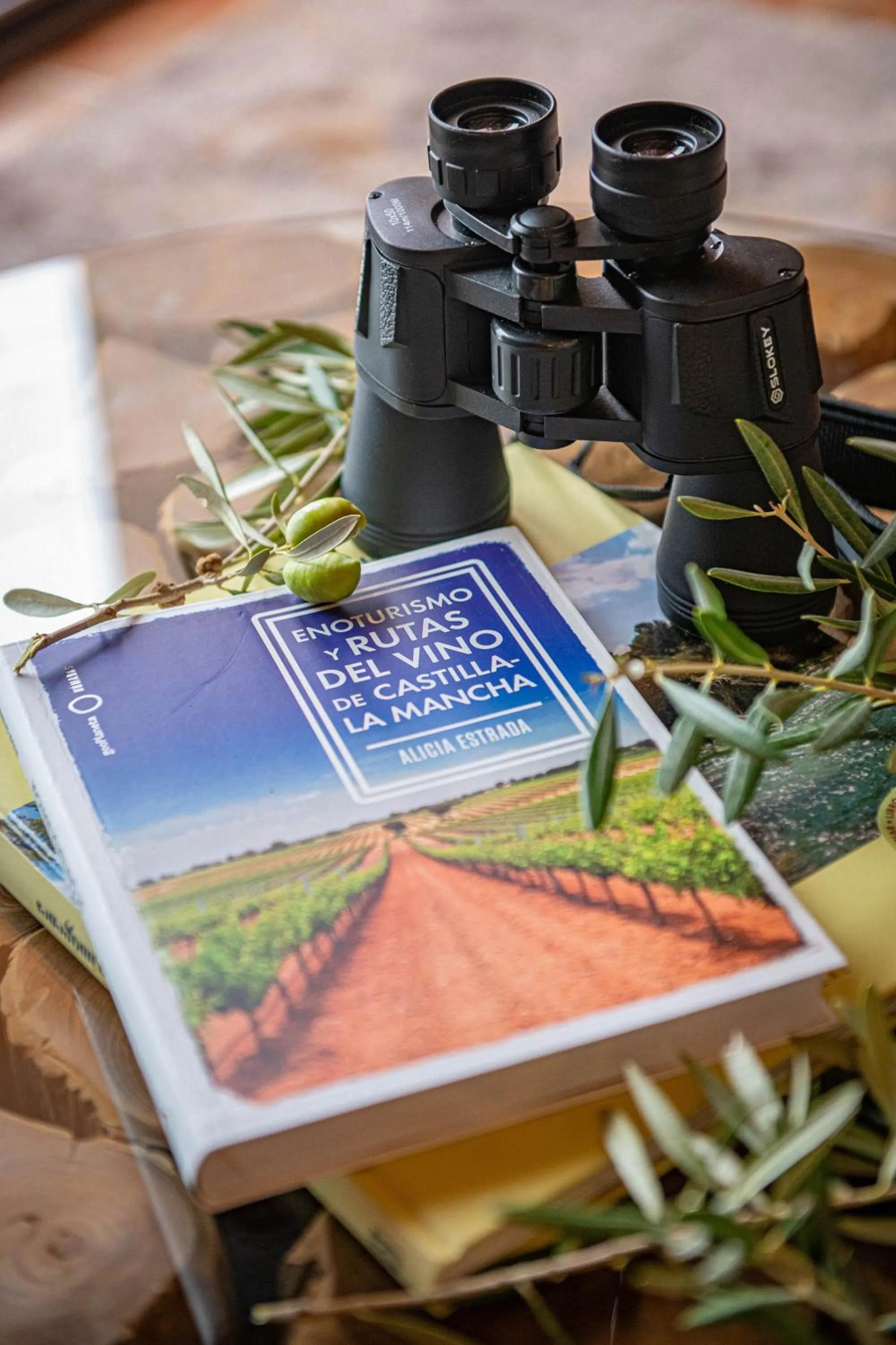 Decorative detail in Hotel La Caminera Club de Campo