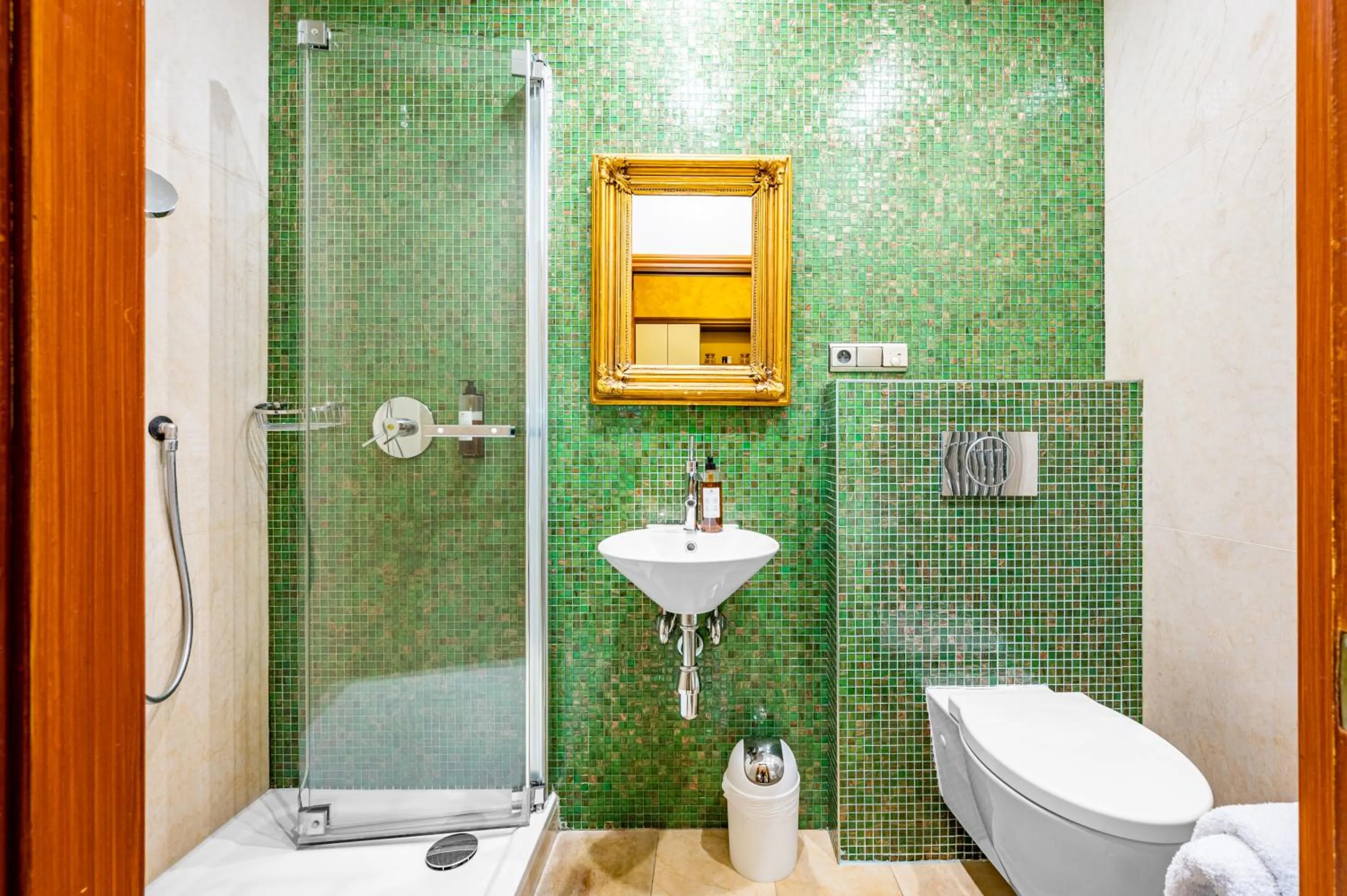 Shower in Malostranská Residence