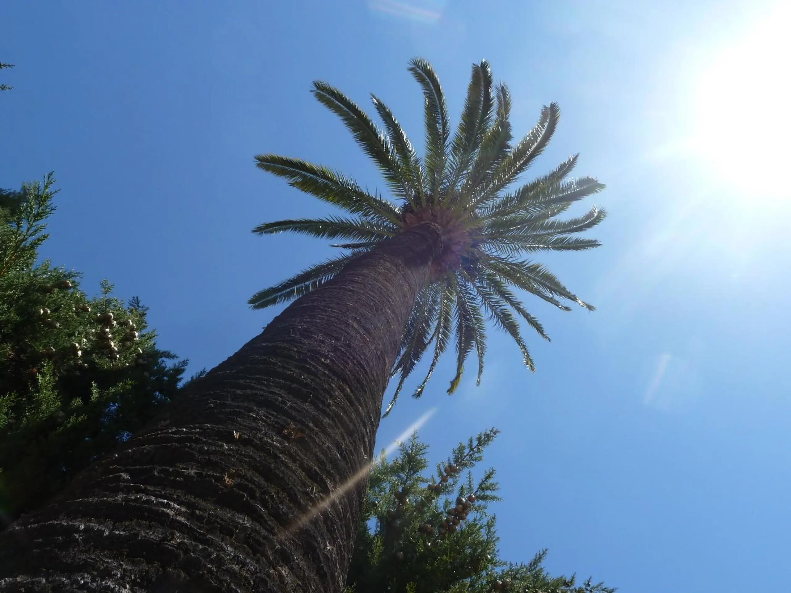 Day in Hôtel La Villa Patricia - Charme et Tradition