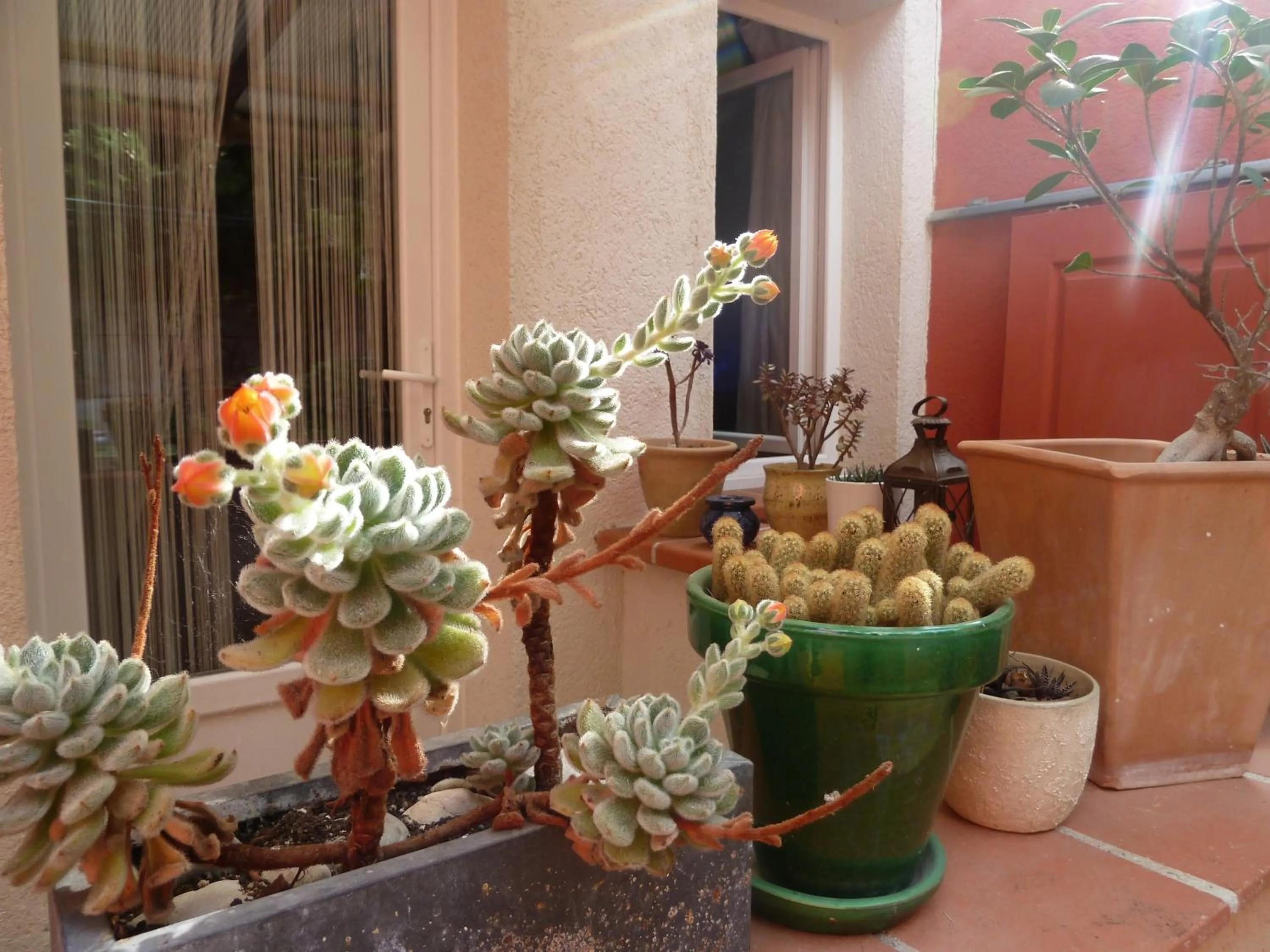 Facade/entrance in Hôtel La Villa Patricia - Charme et Tradition