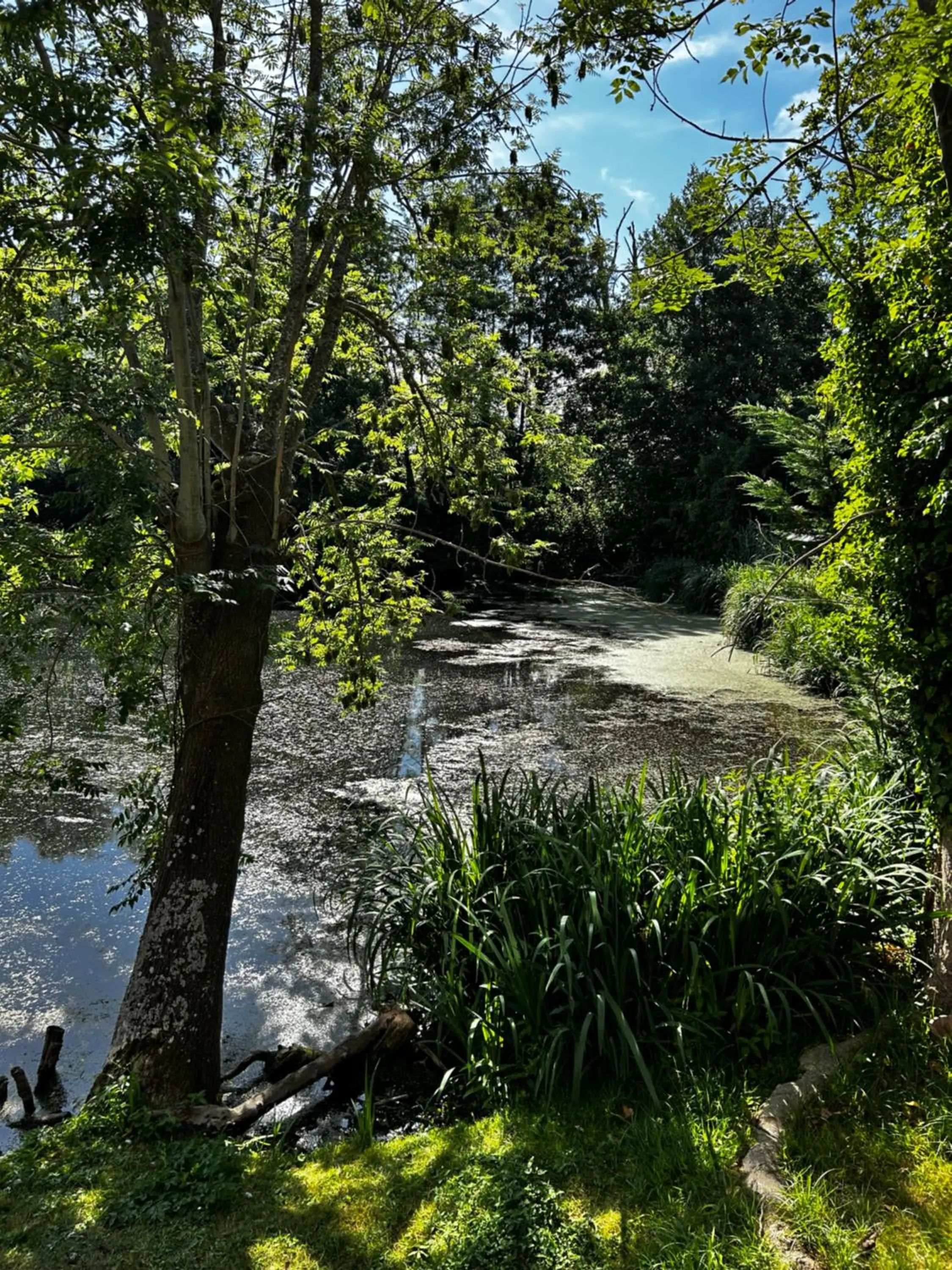 Natural landscape in Hôtel L'ile Du Saussay