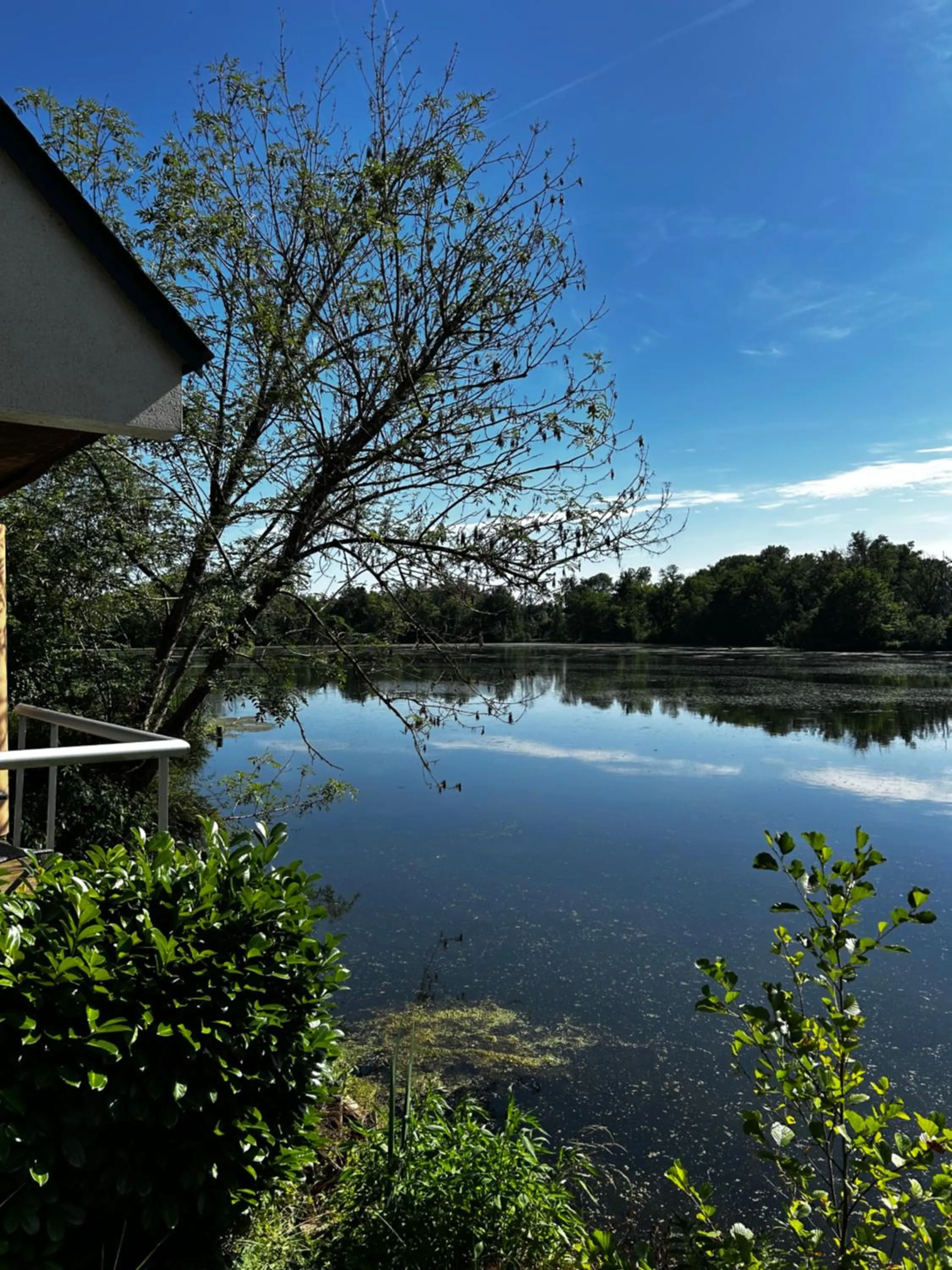 Natural landscape in Hôtel L'ile Du Saussay