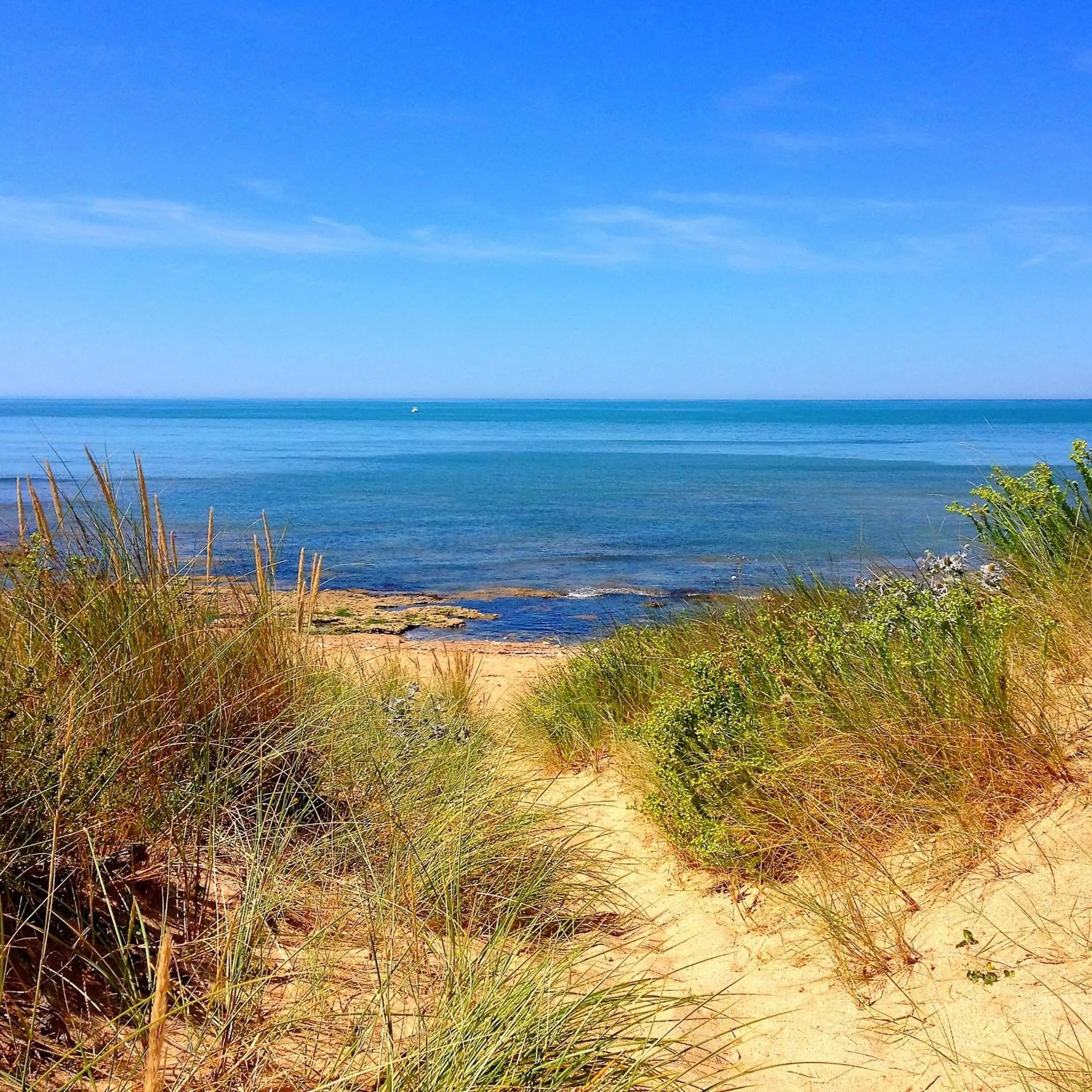 Natural landscape in Hôtel Île de Lumière
