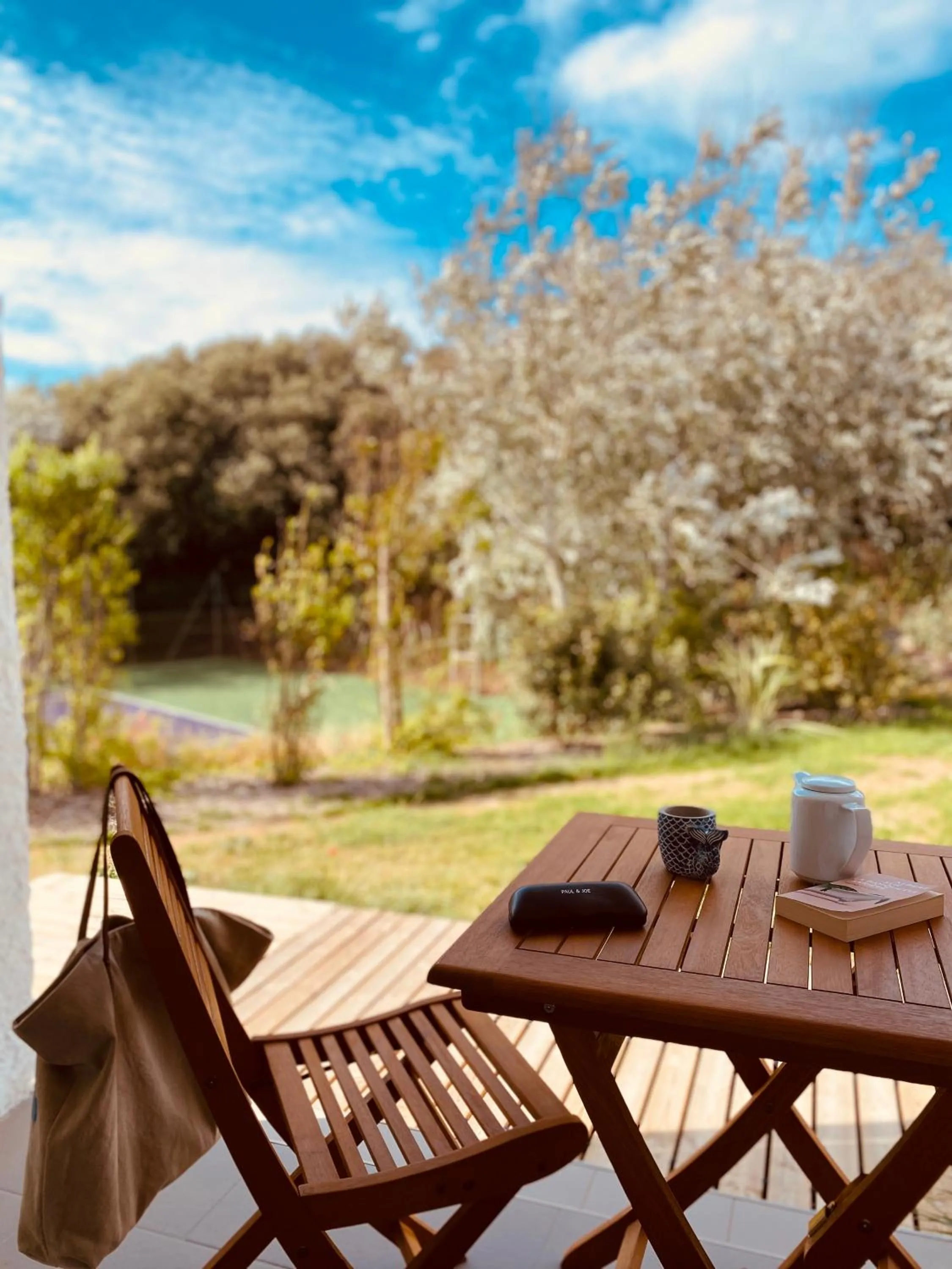 Balcony/Terrace in Hôtel Île de Lumière