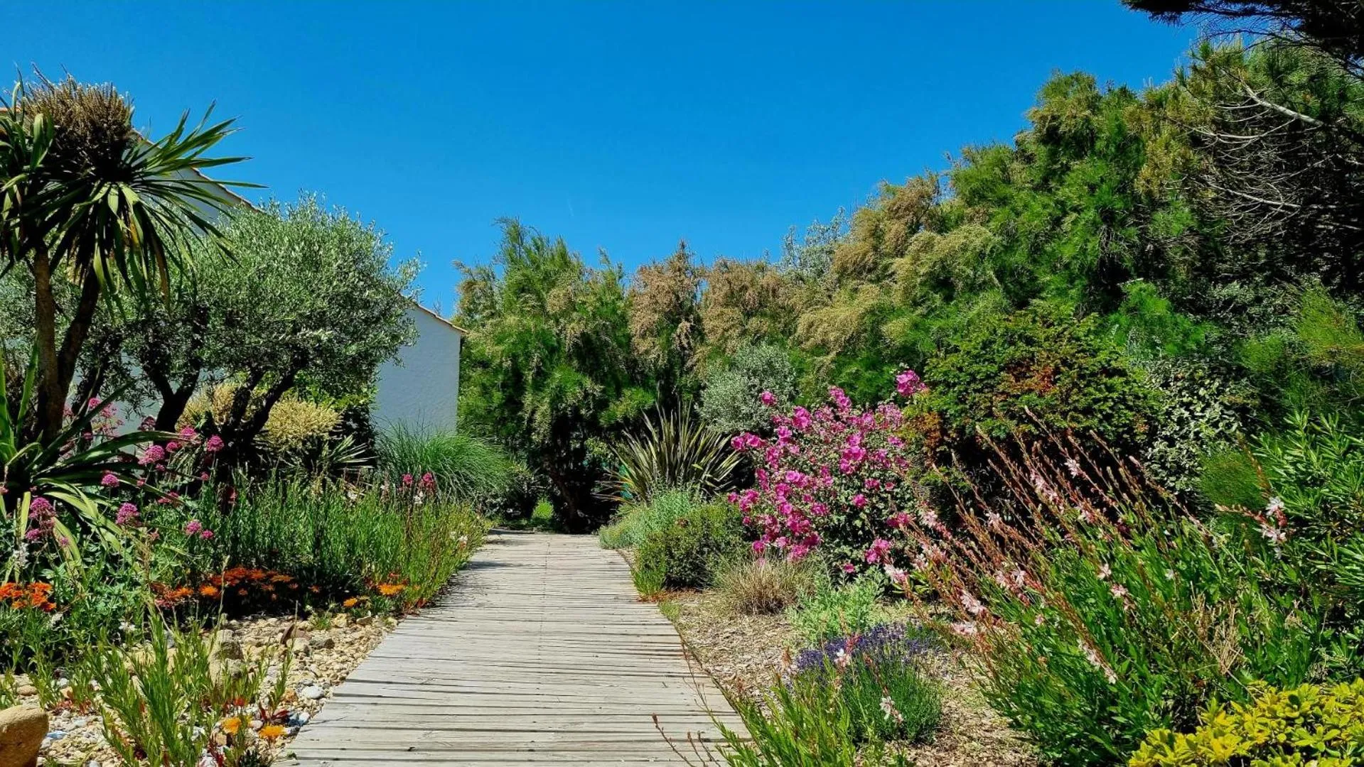 Garden in Hôtel Île de Lumière