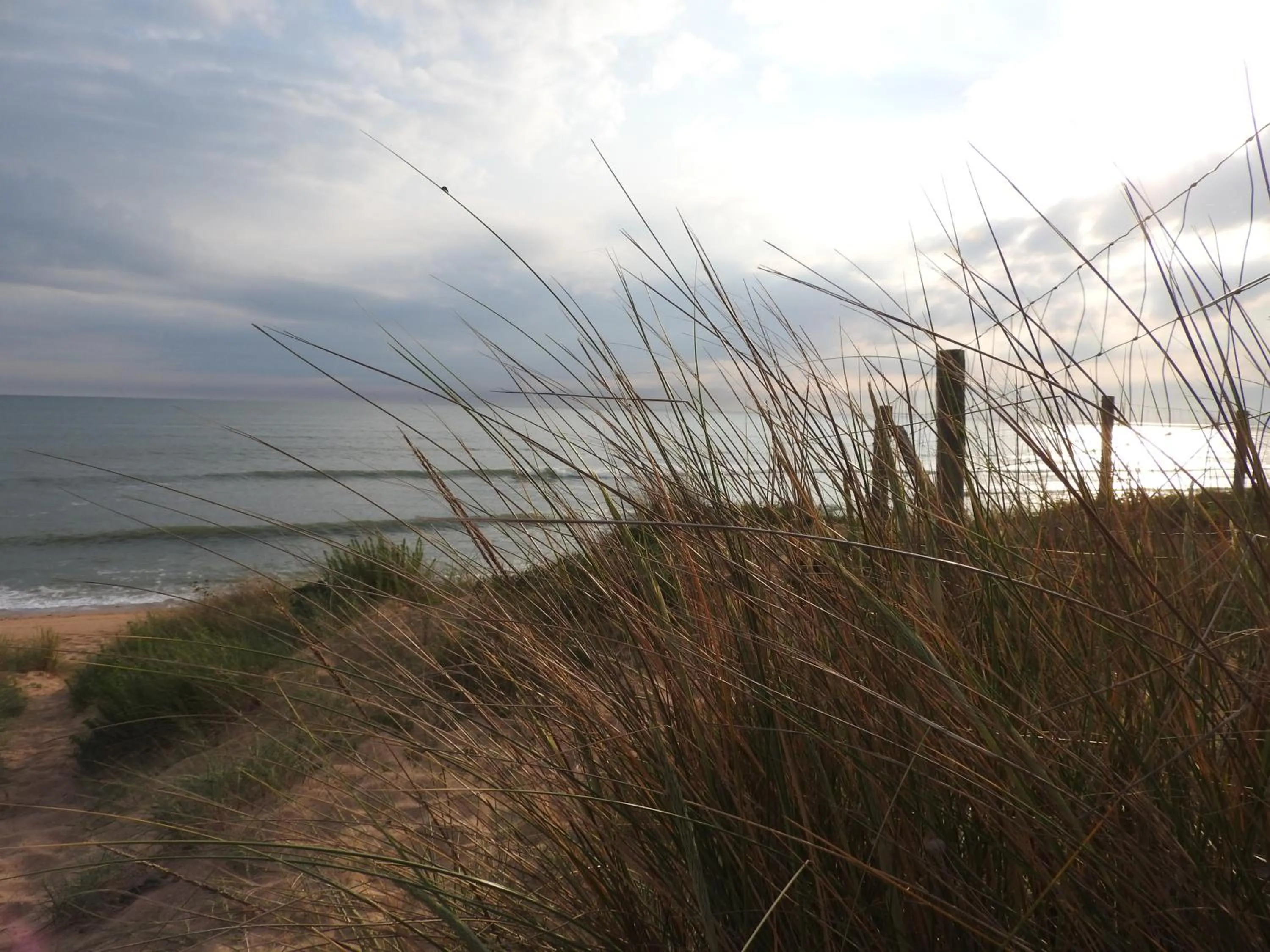 Natural landscape in Hôtel Île de Lumière