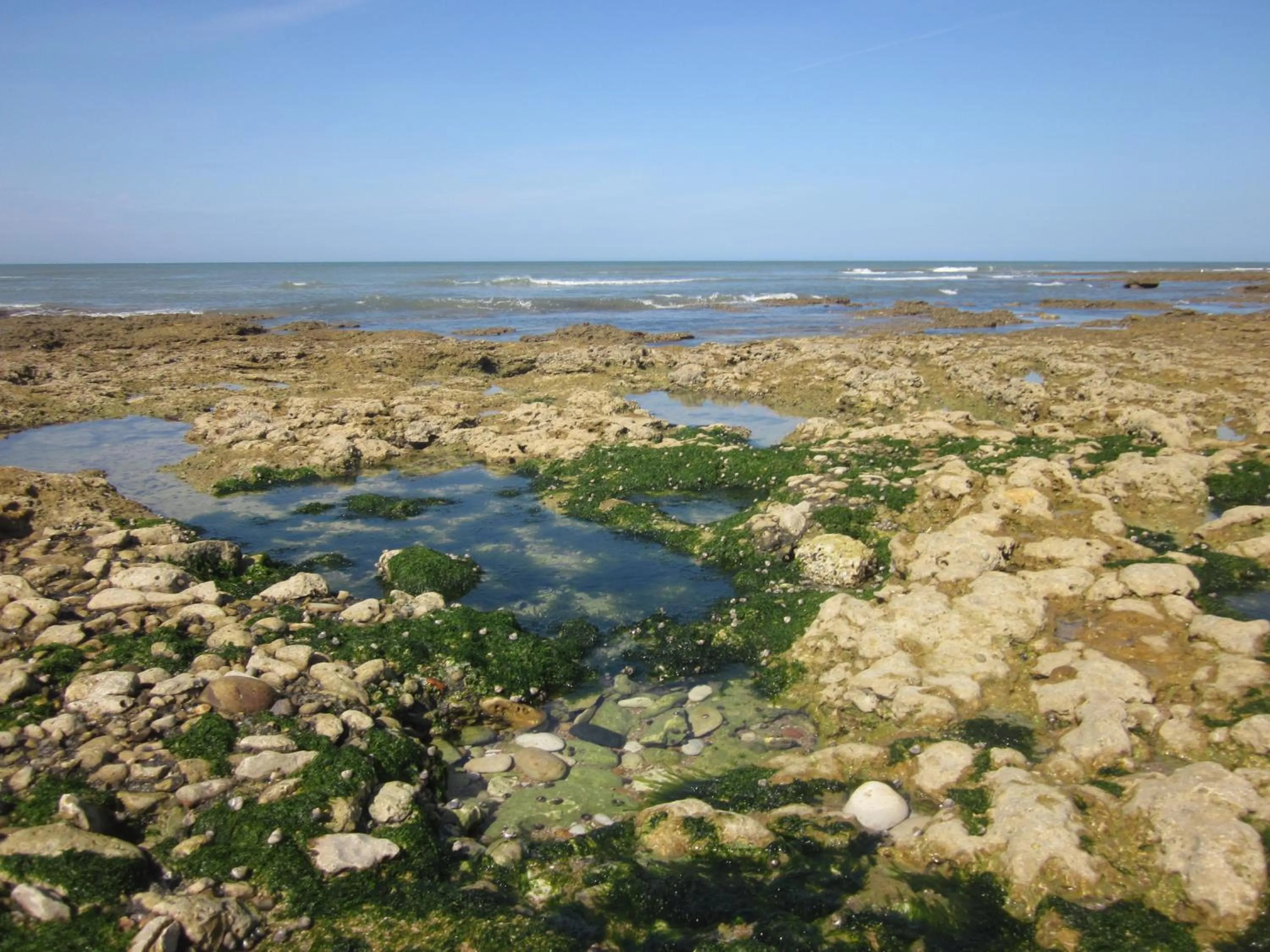 Fishing in Hôtel Île de Lumière