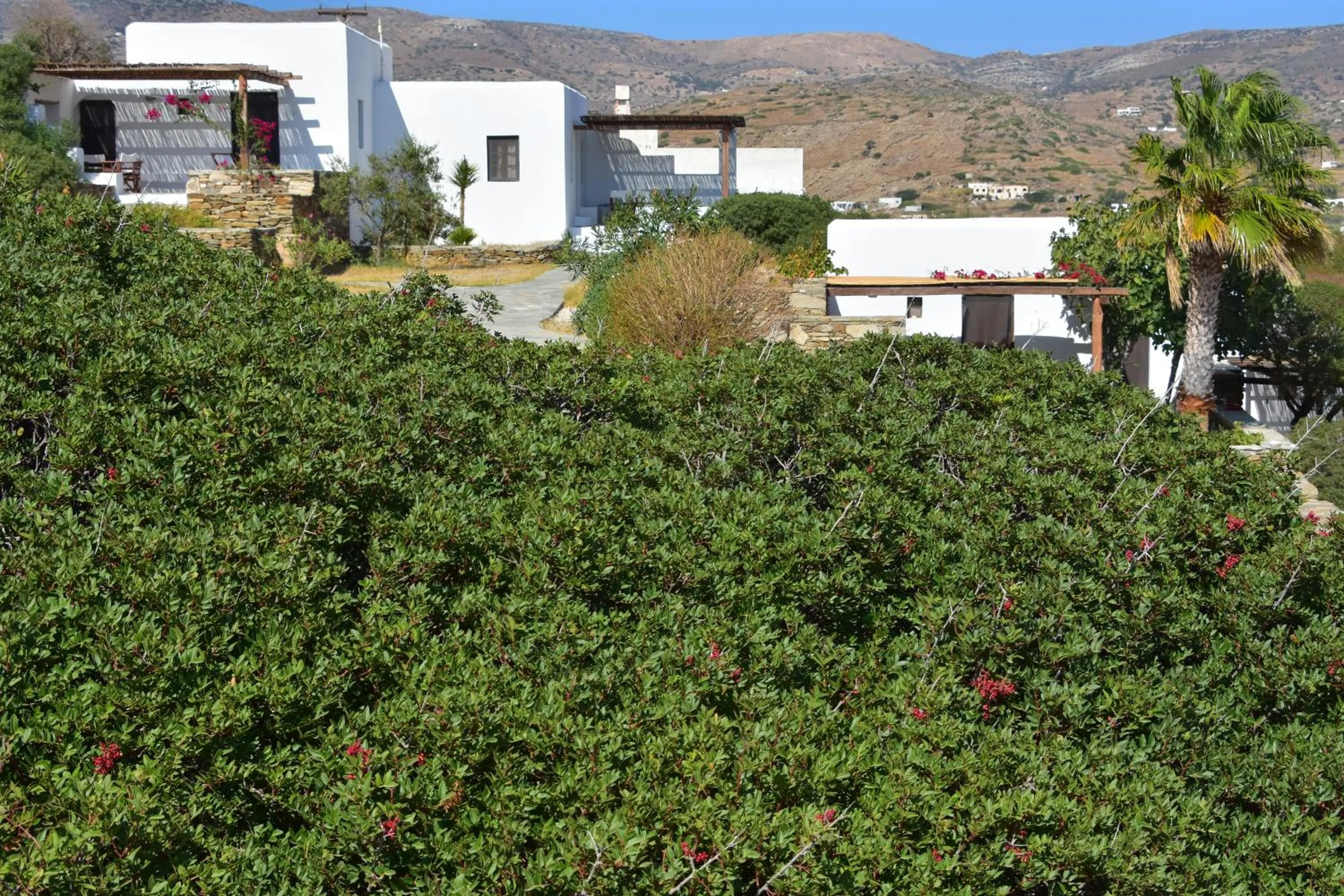 Property building in Petra Holiday Village