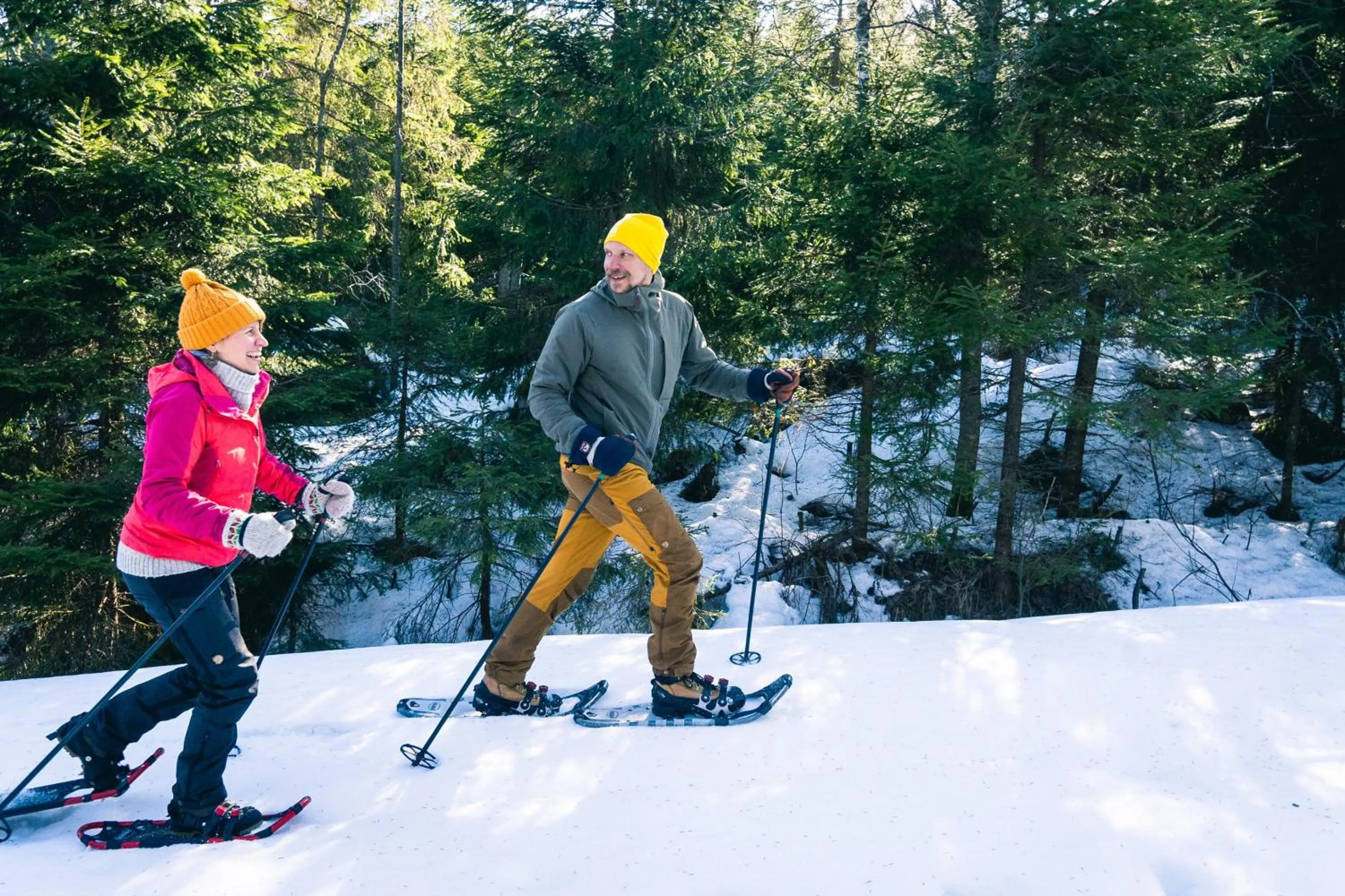 Natural landscape in Break Sokos Hotel Koli