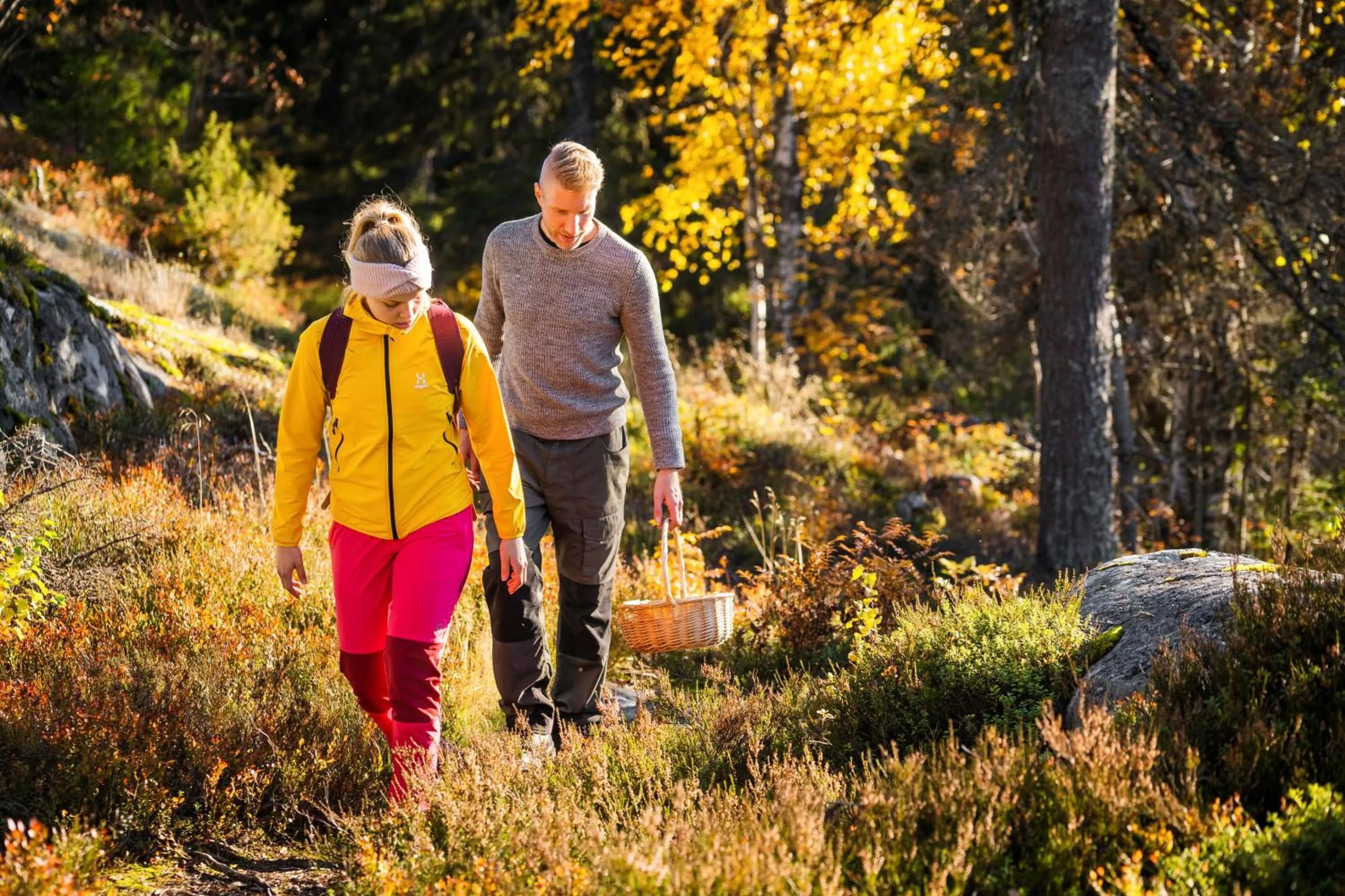 Activities in Break Sokos Hotel Koli