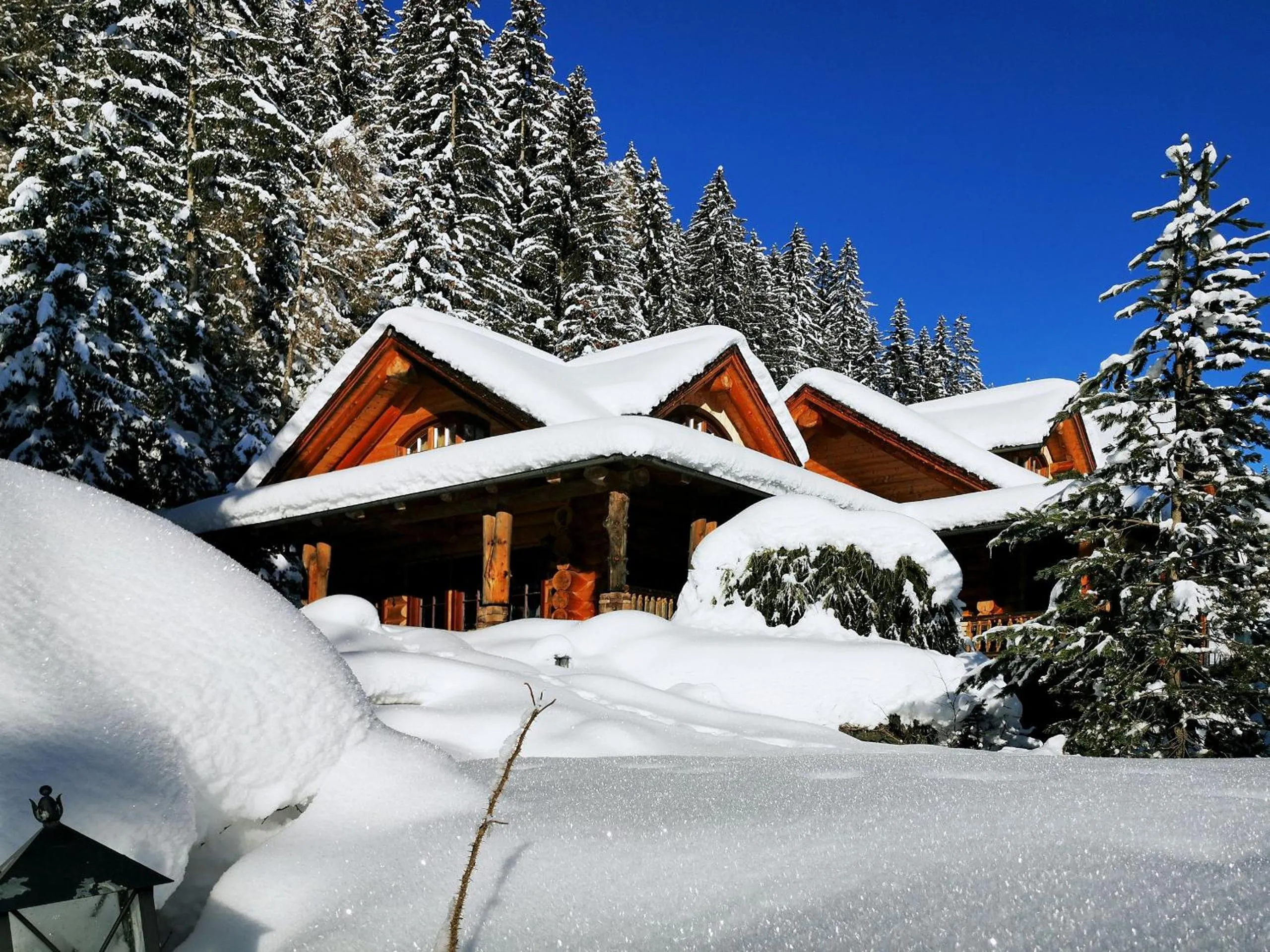 Chalet Caprea