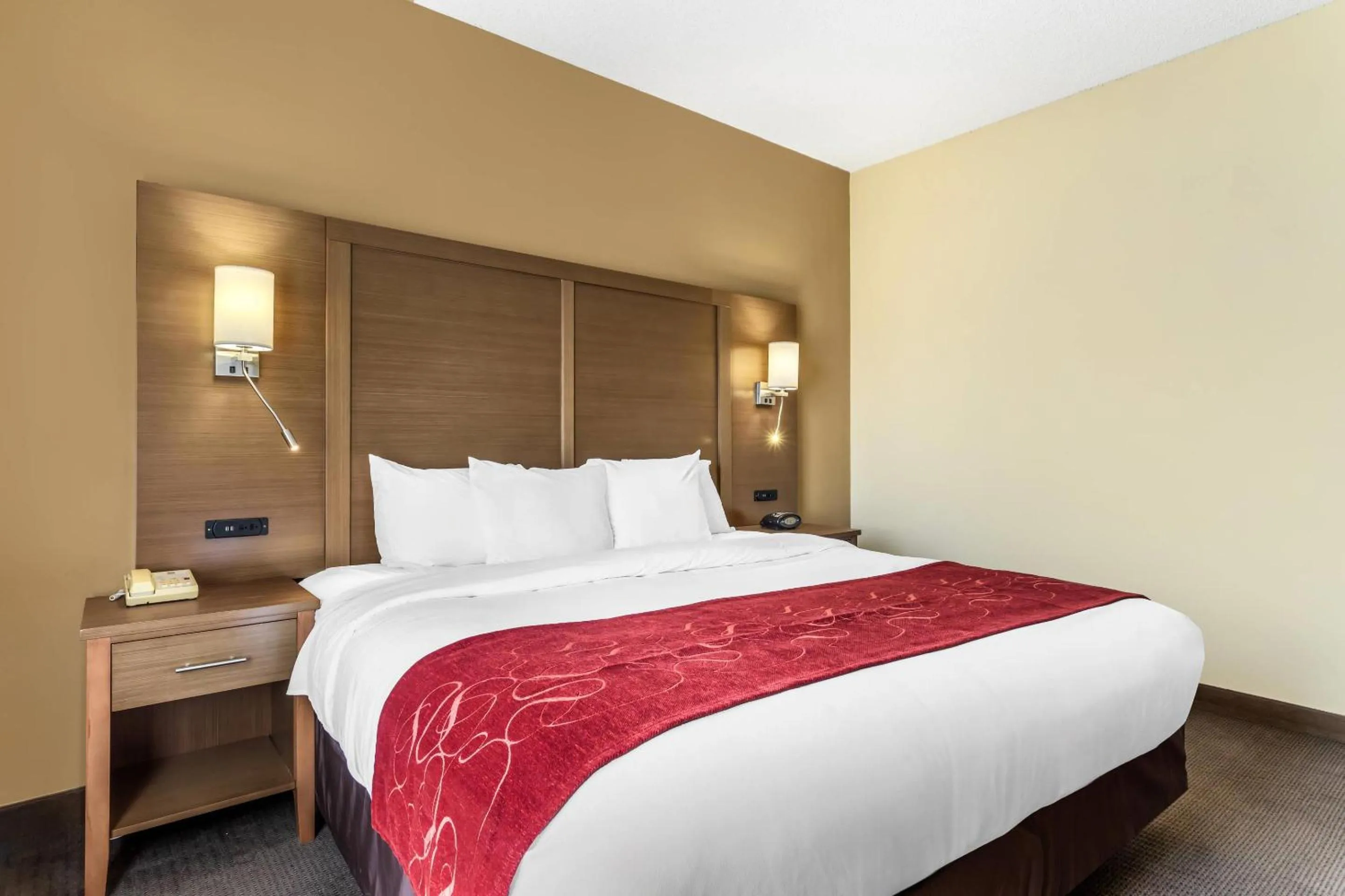 Bedroom, Bed in Comfort Suites Bush Intercontinental Airport