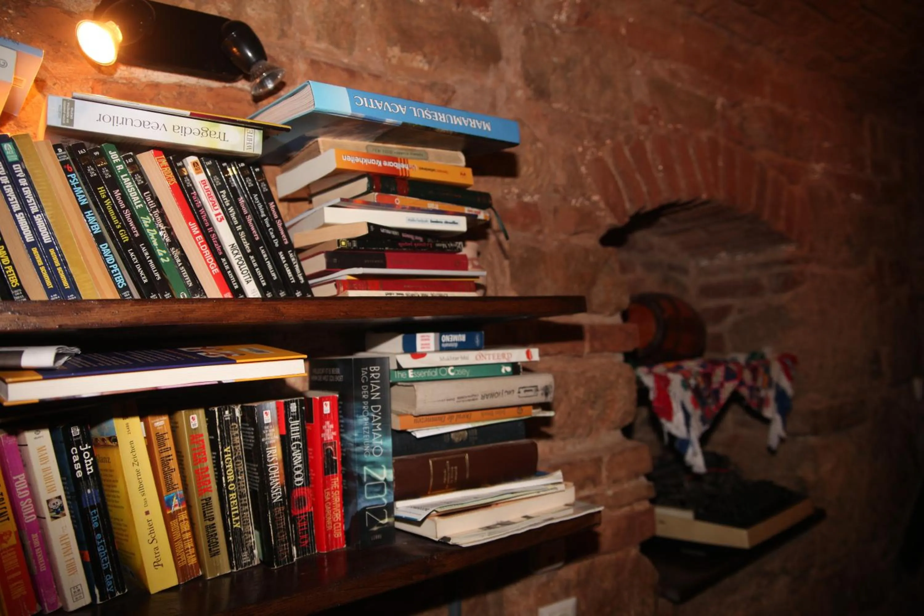 Library in Retro Hostel