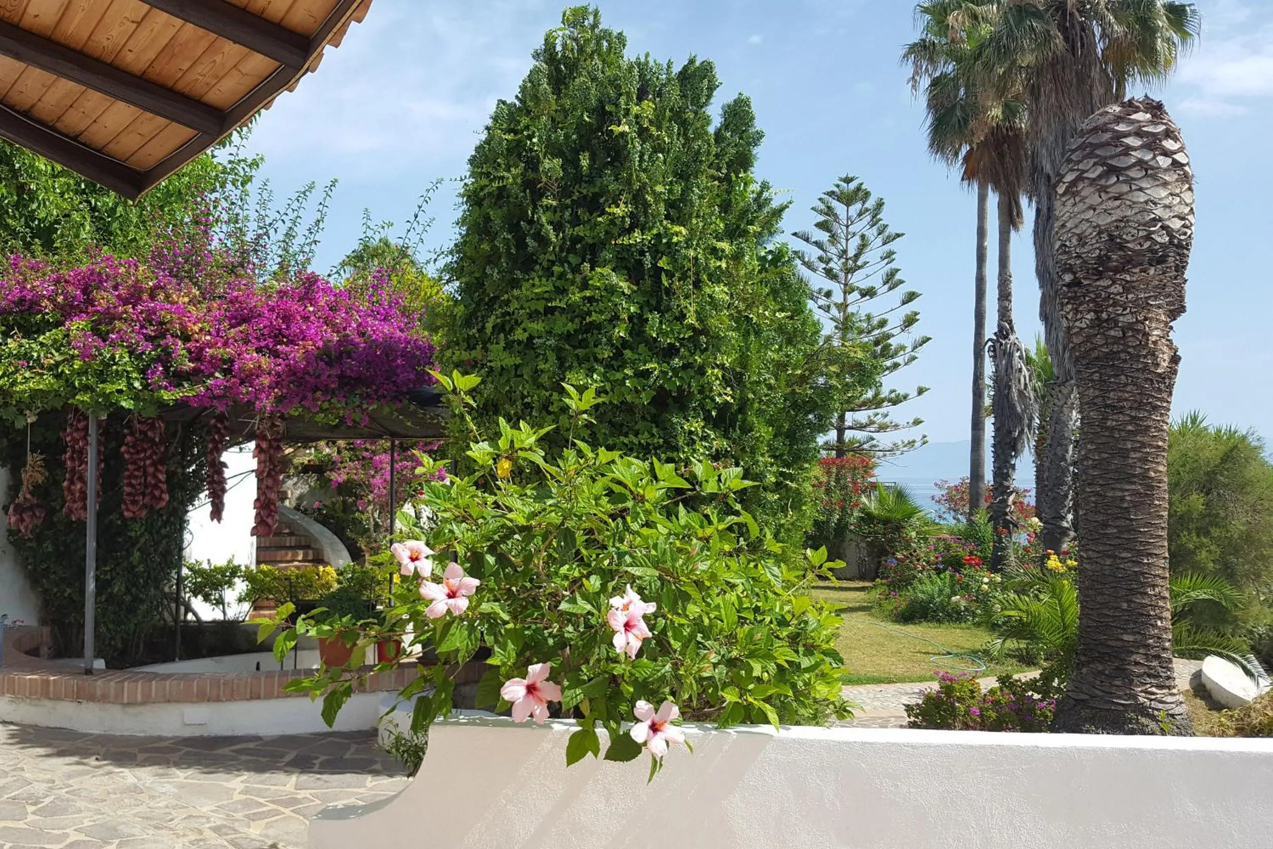 Property building in Residence Albatros