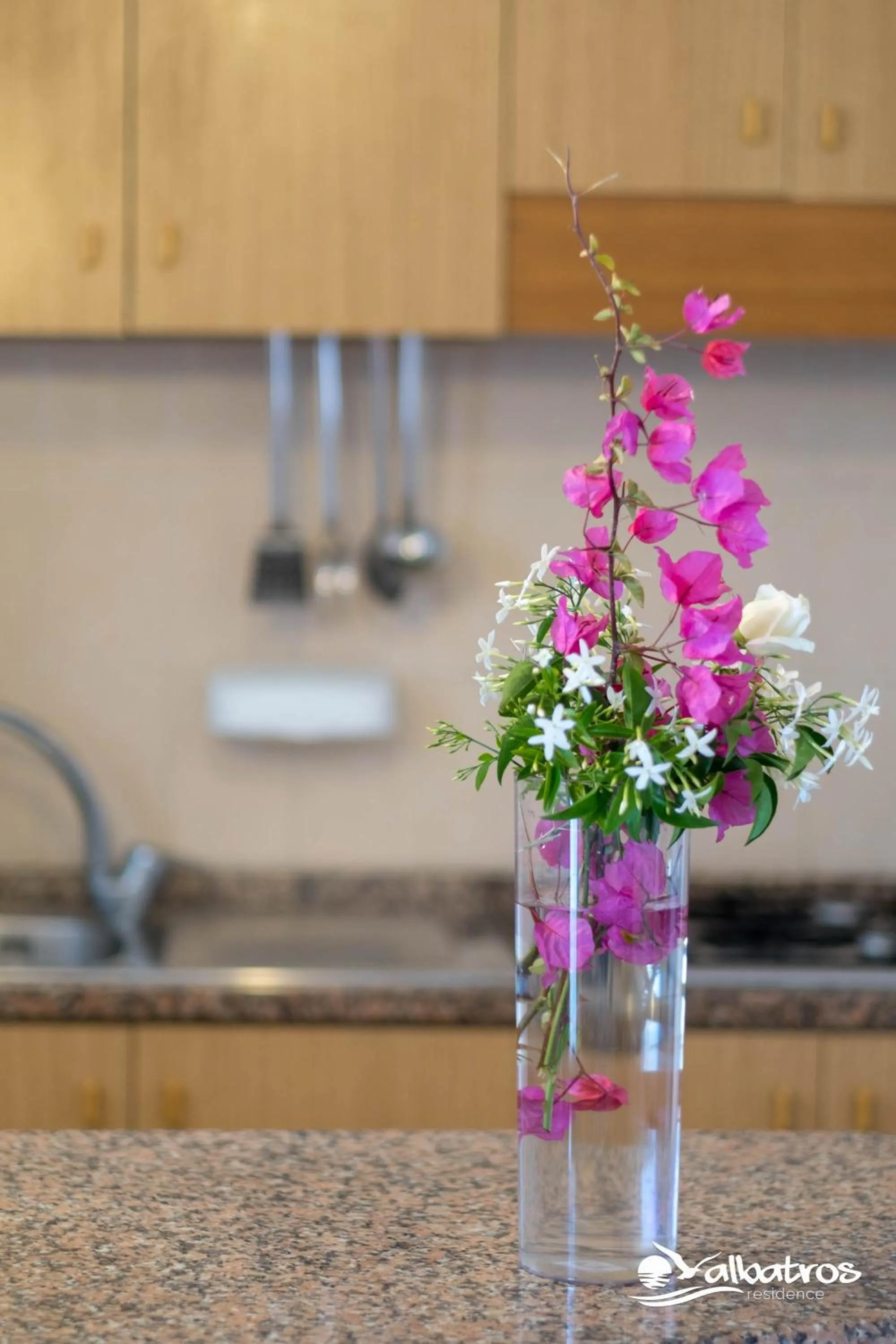 Kitchen or kitchenette in Residence Albatros