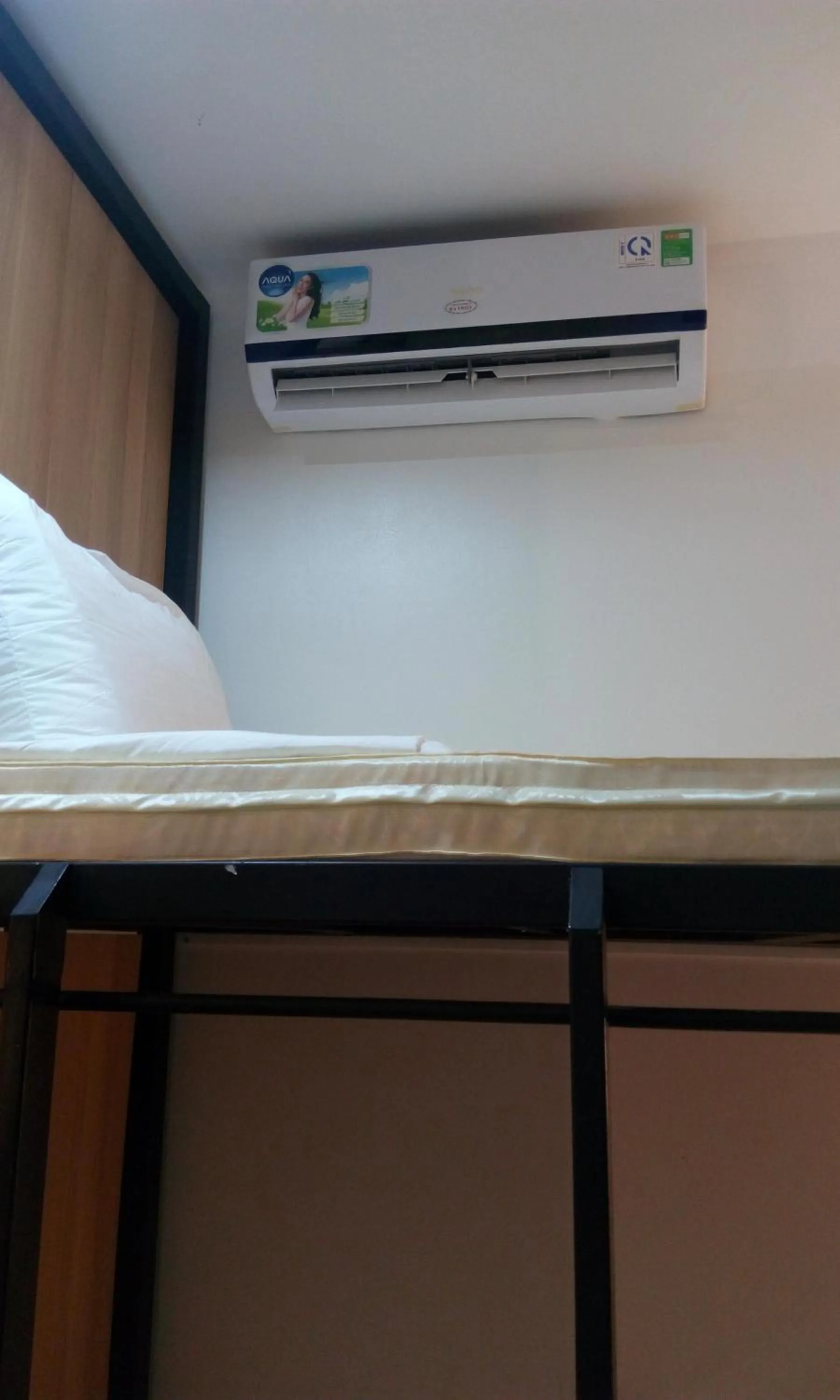 Spring in Tin Tin Hue Hostel