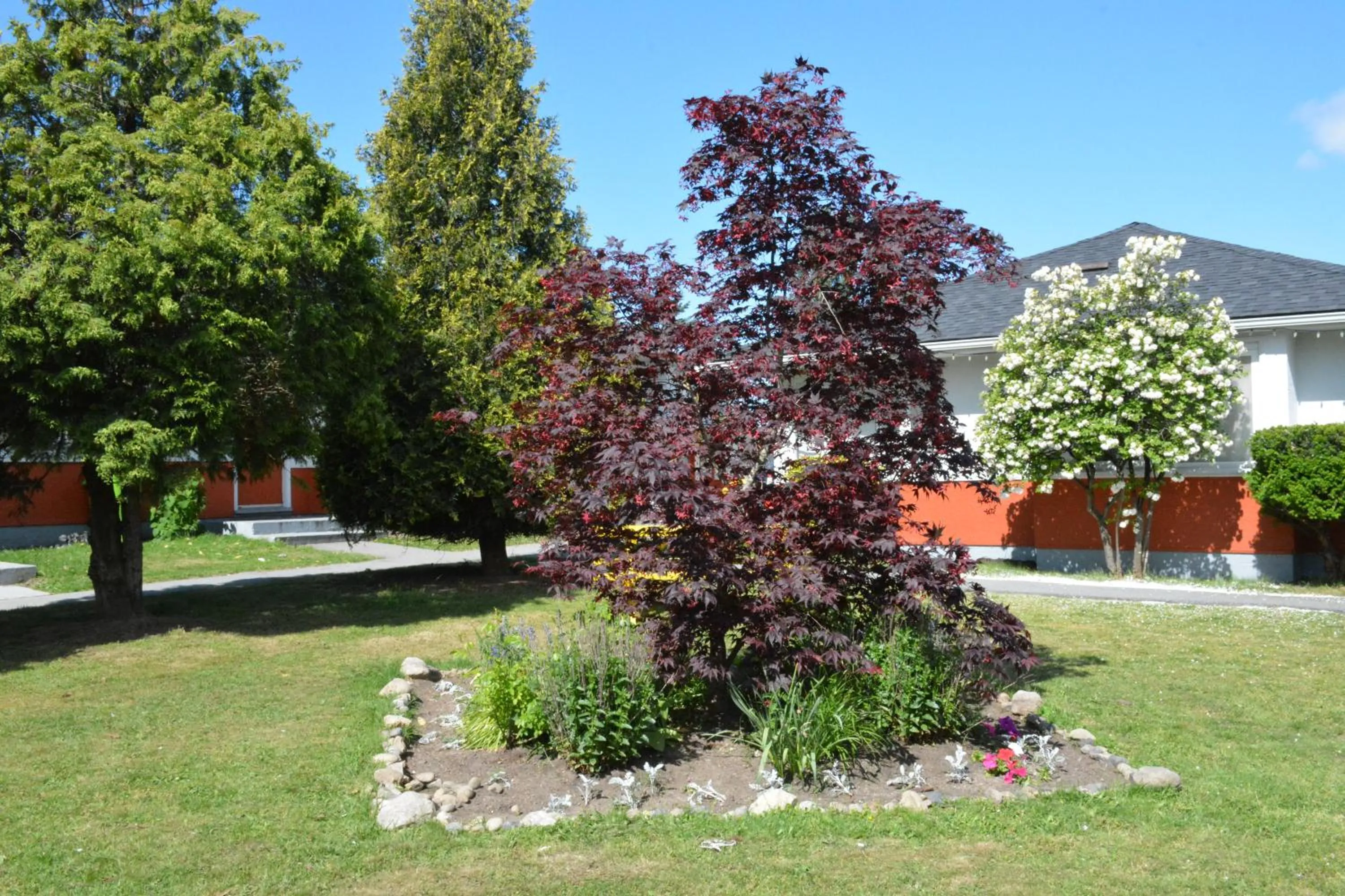 Garden in 2400 Motel