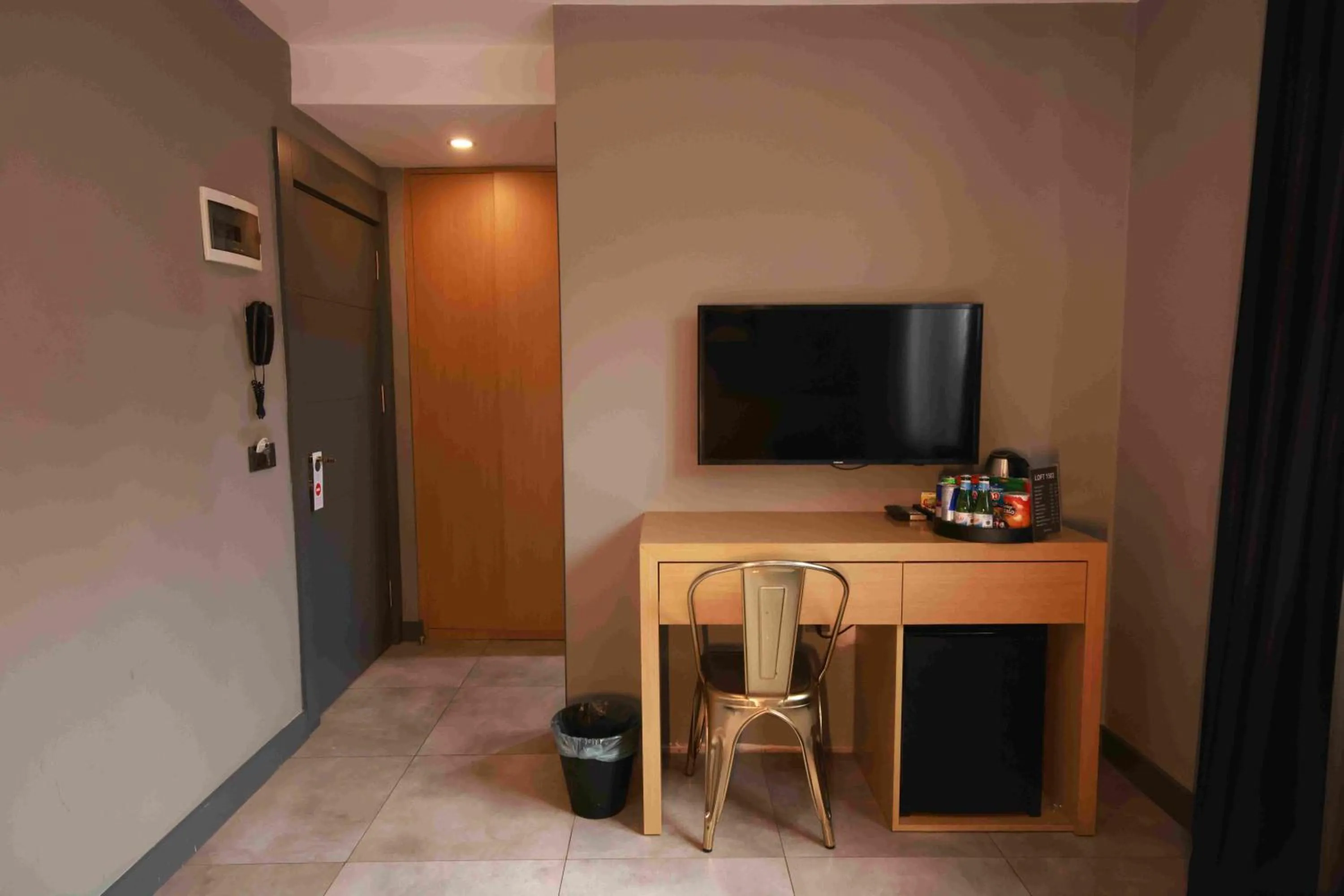 TV and multimedia in Loft 1502