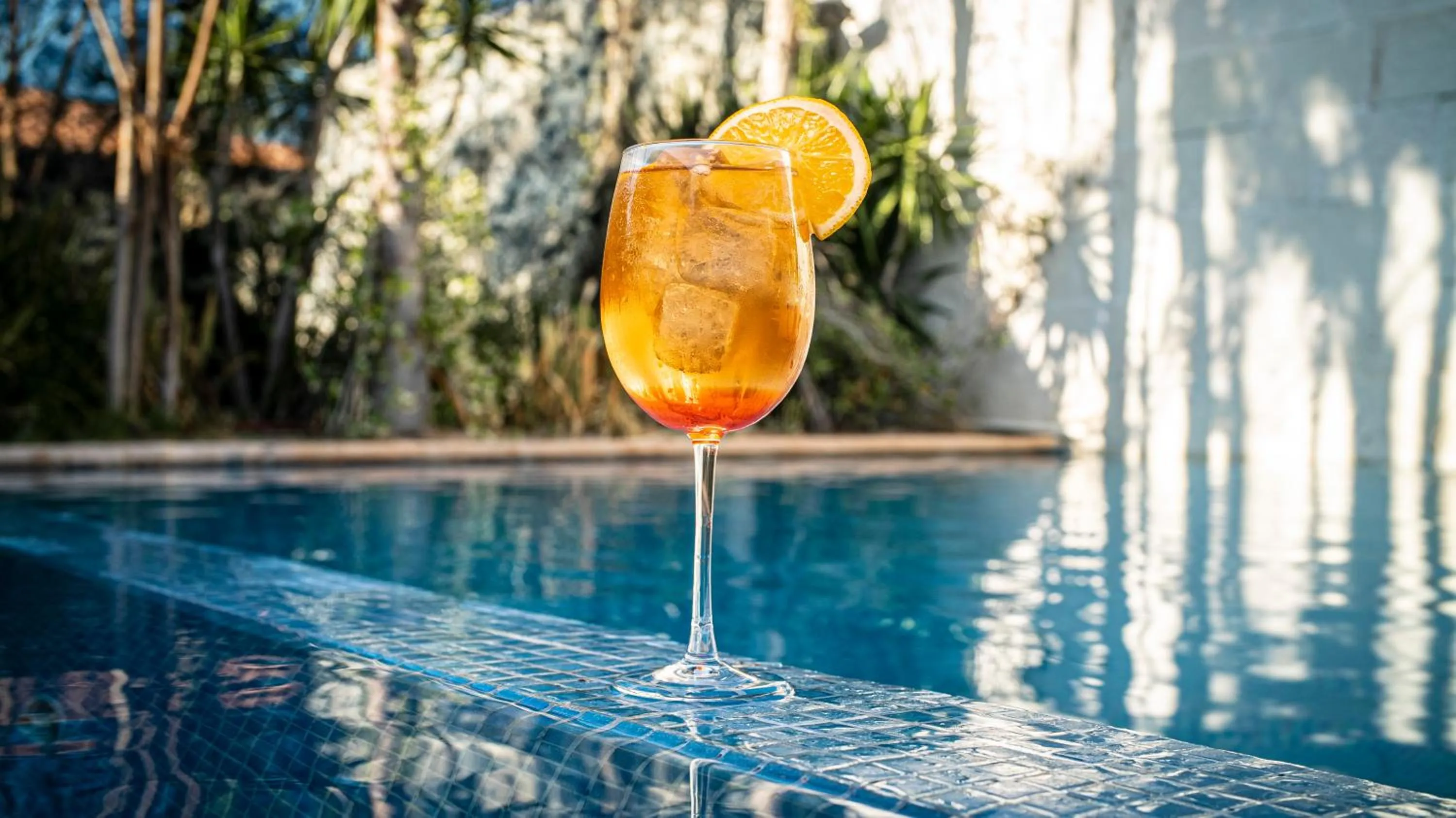 Lounge or bar in Hacienda 1800