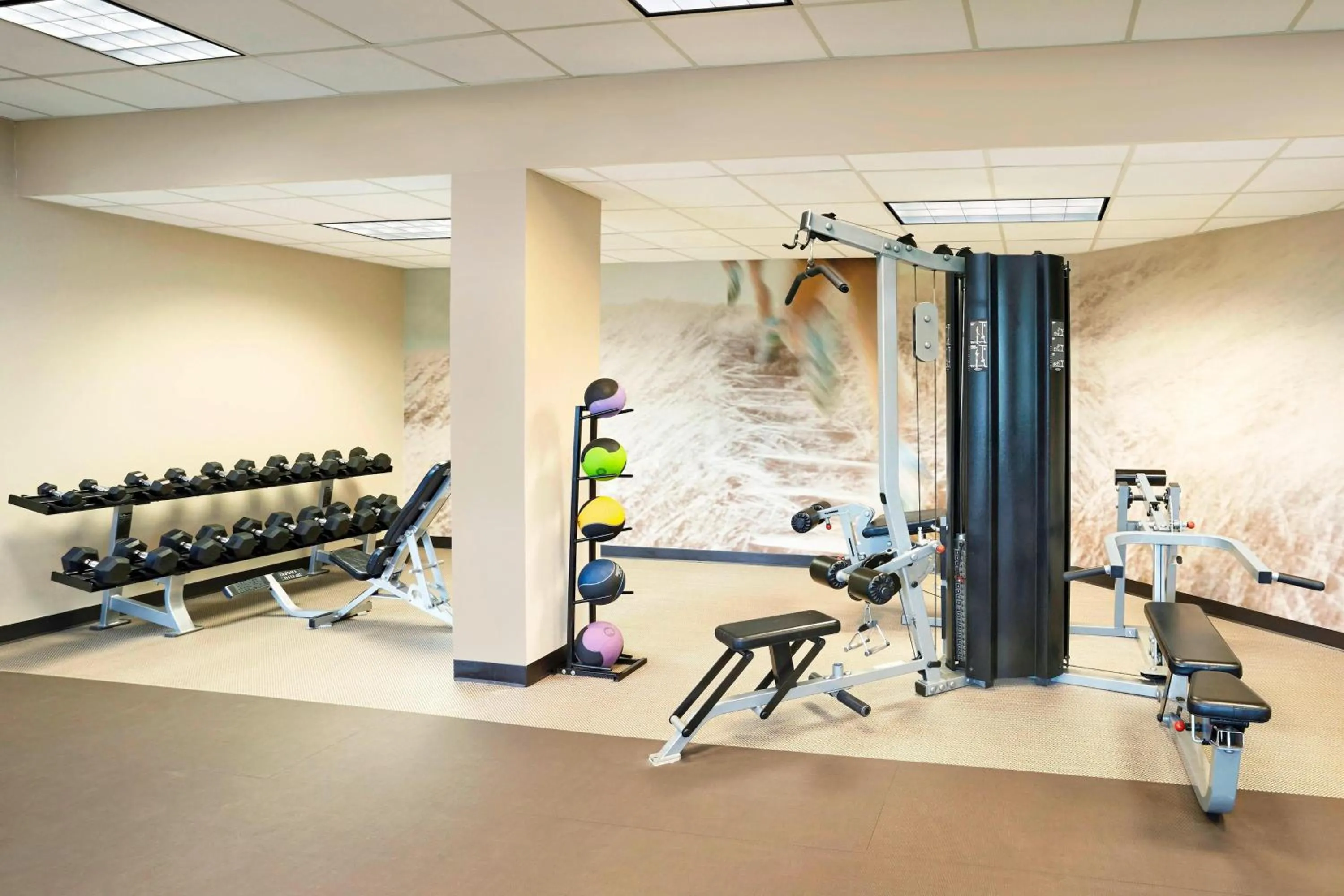 Fitness centre/facilities in The Westin Trillium House, Blue Mountain