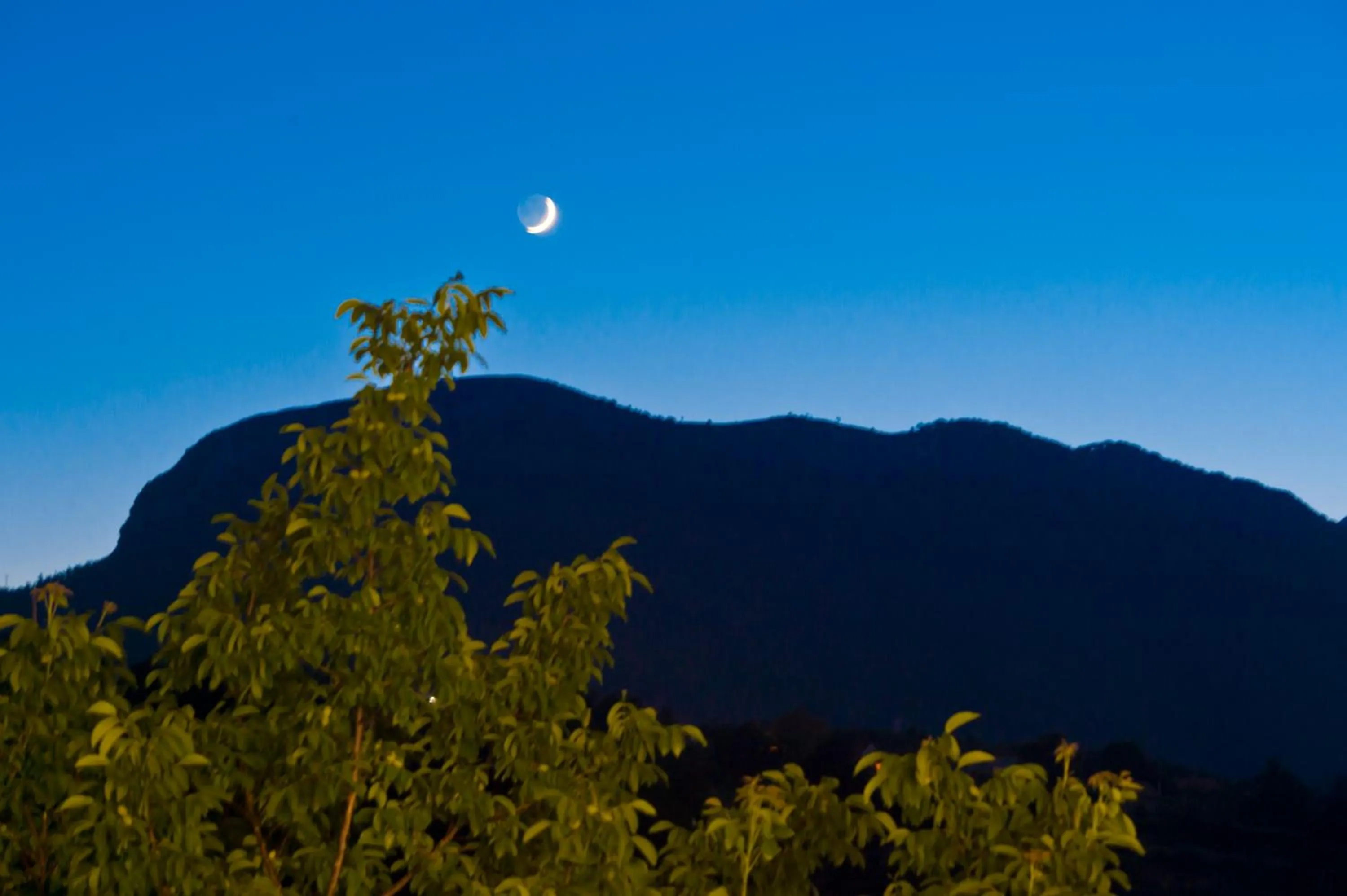 Garden view in B&B Casanova