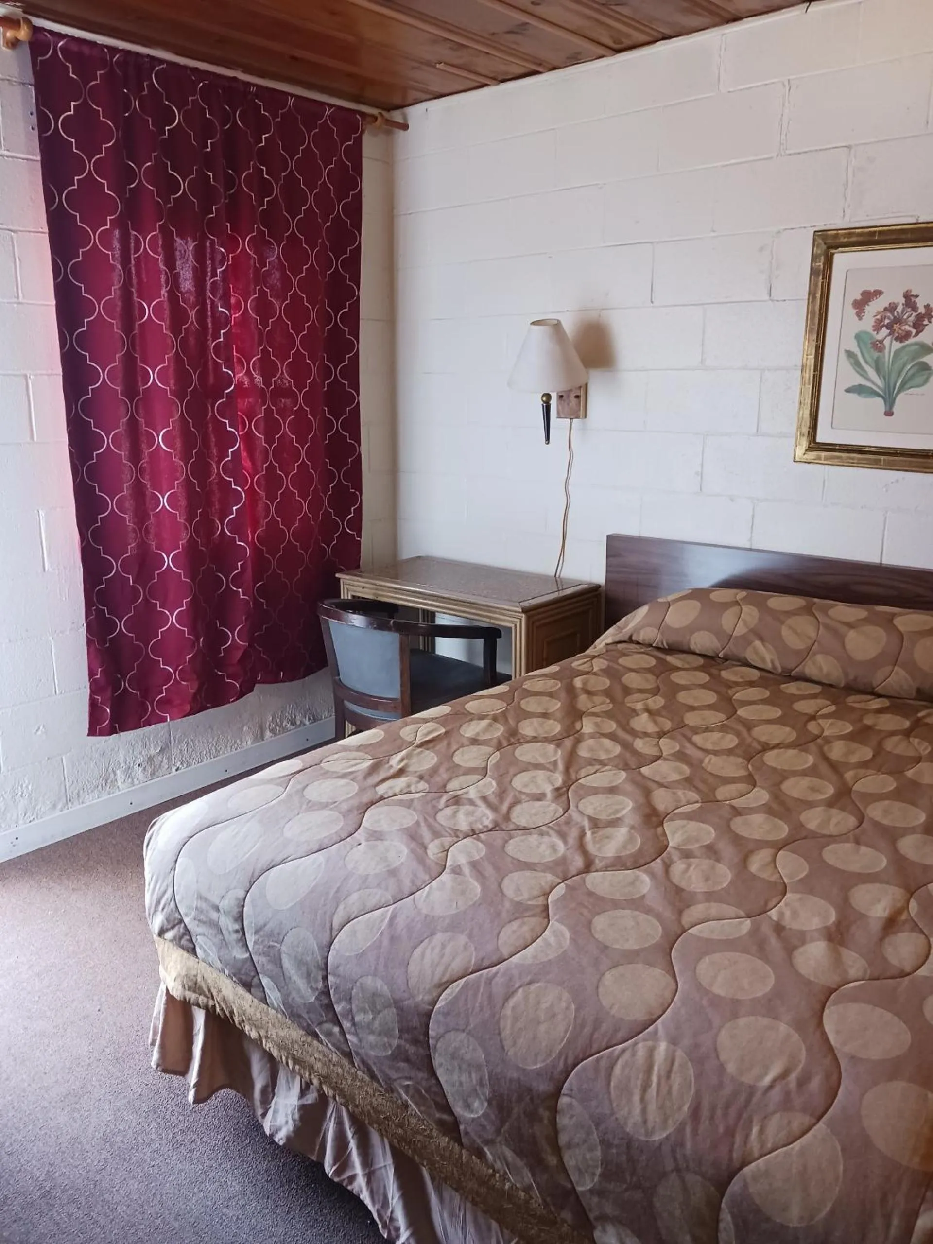 Photo of the whole room, Bed in White Pine Motel