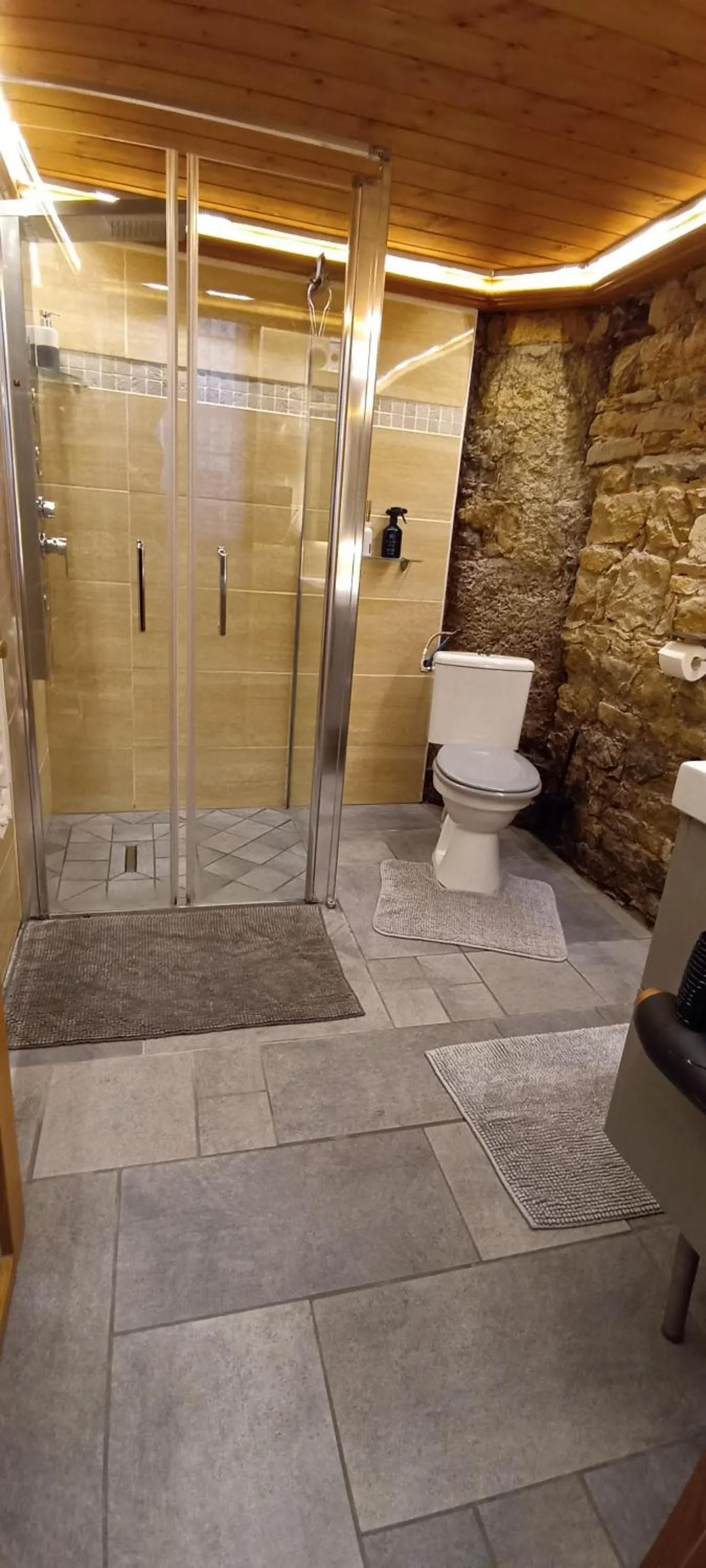 Shower in LOGE DE L'OPERA