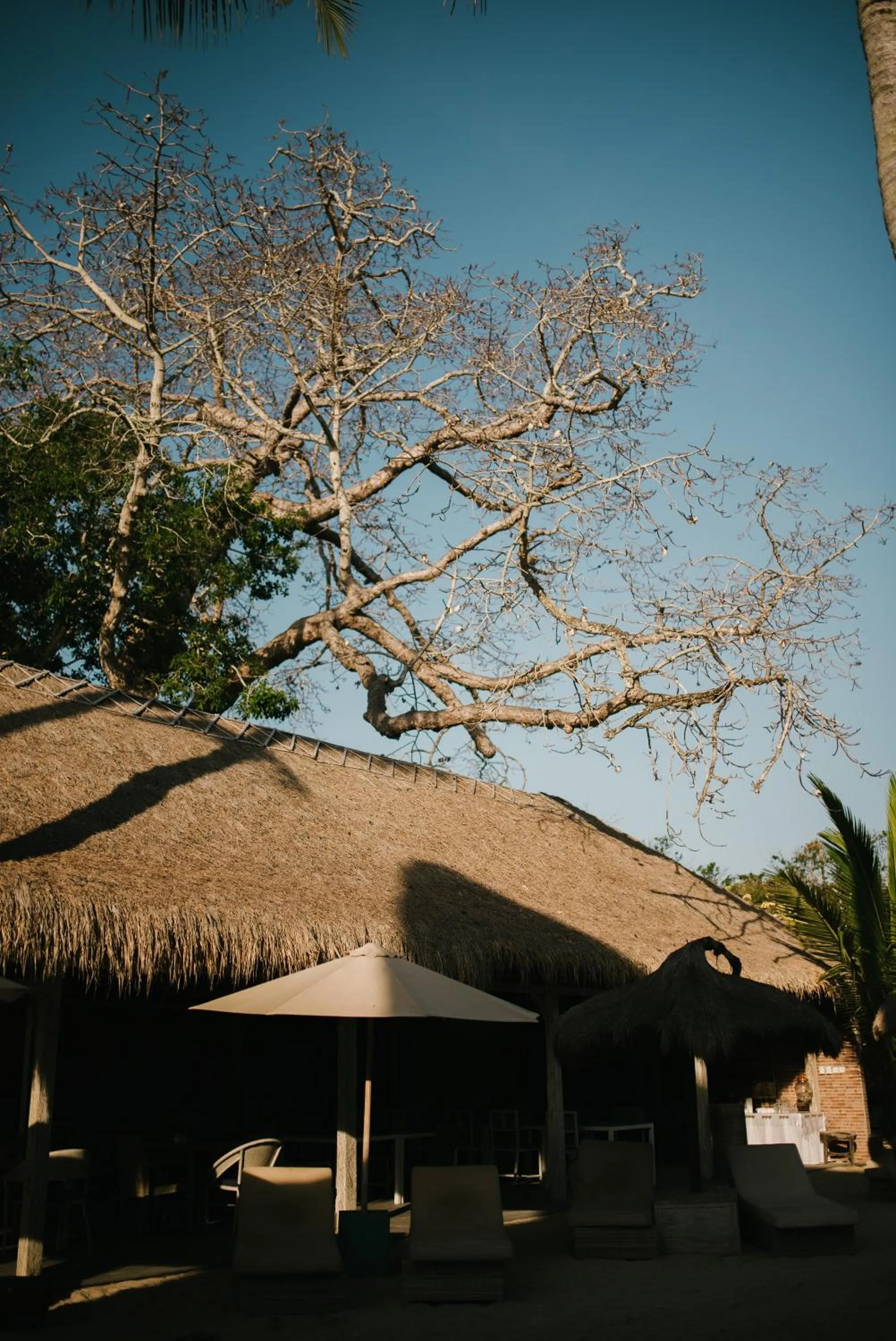 View (from property/room) in Le Nusa Beach Club