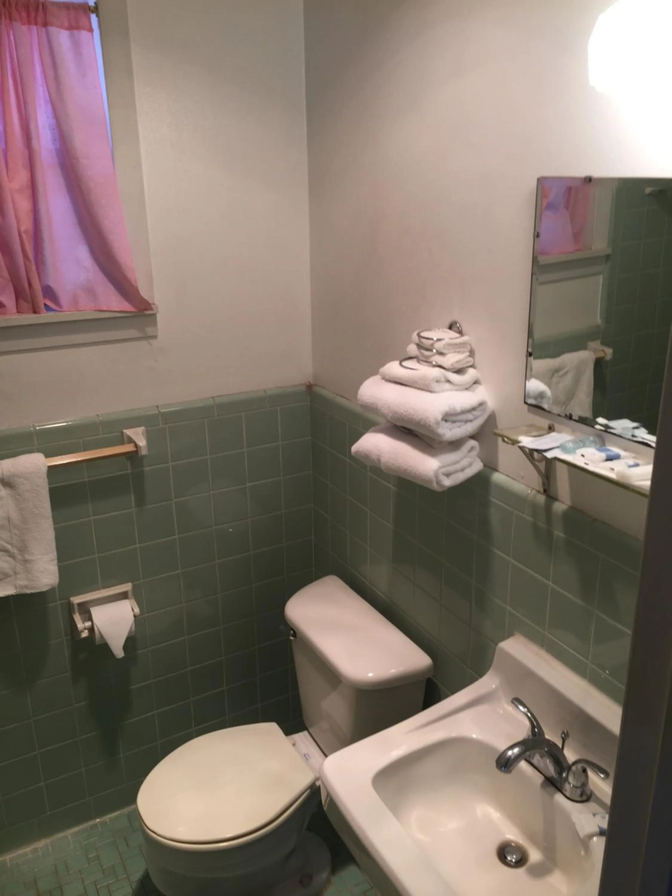 Toilet in The Oak Motel