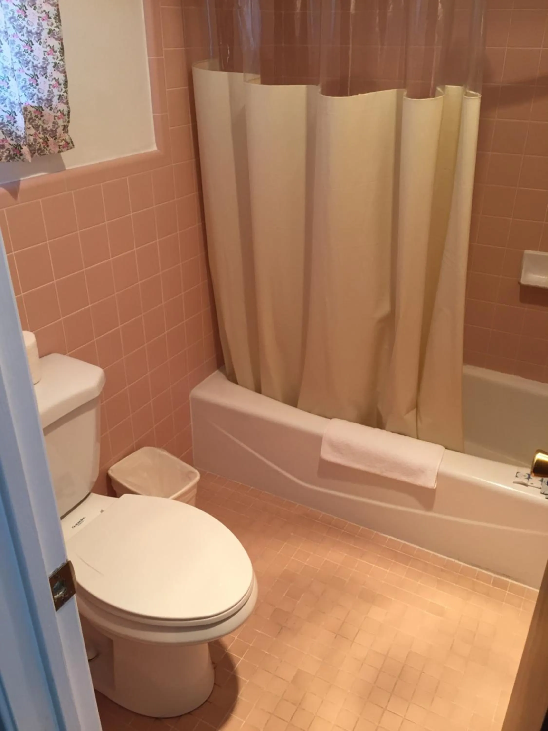 Other in The Oak Motel