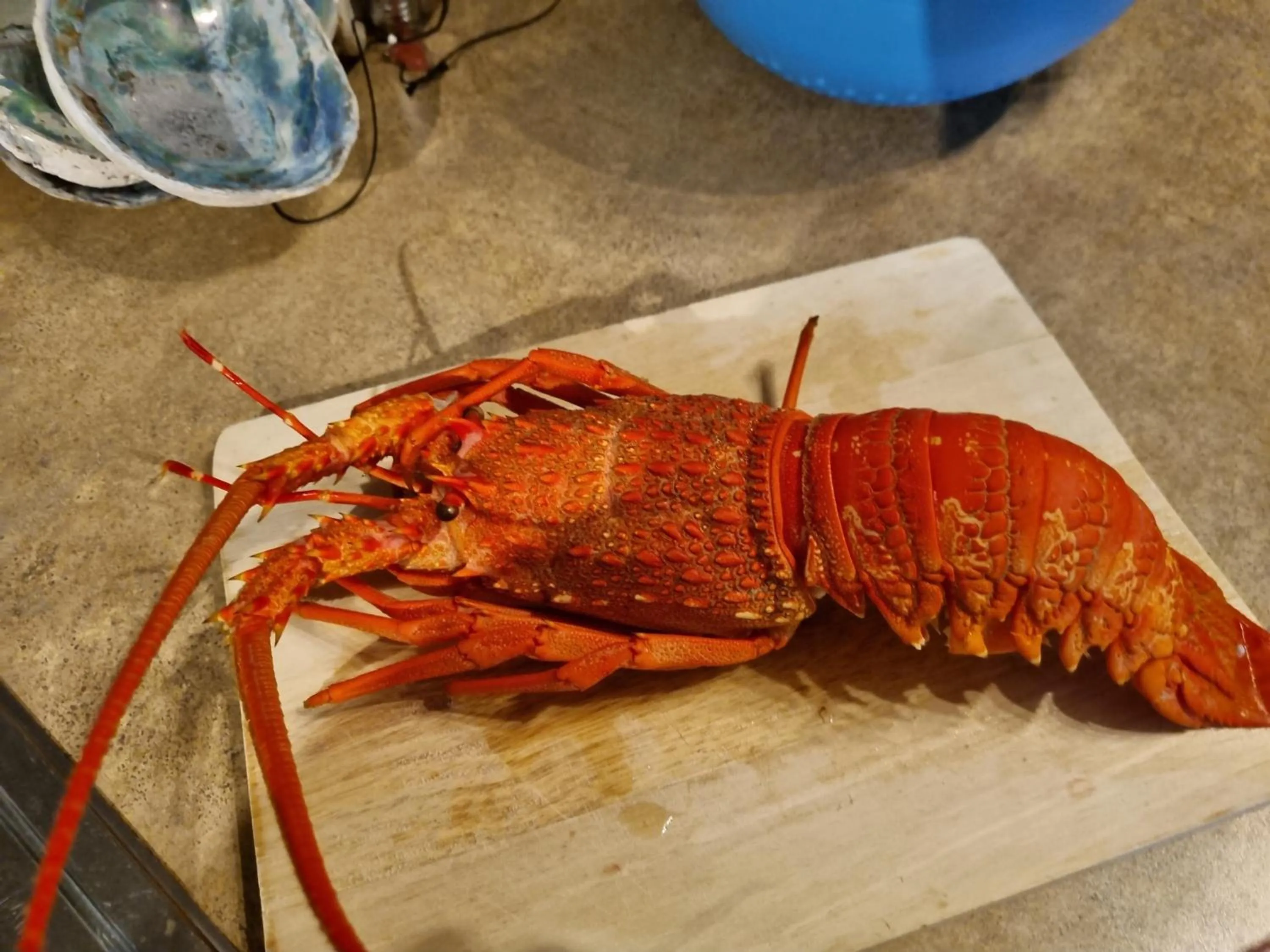 Food and drinks in Kaikoura Quality Suites